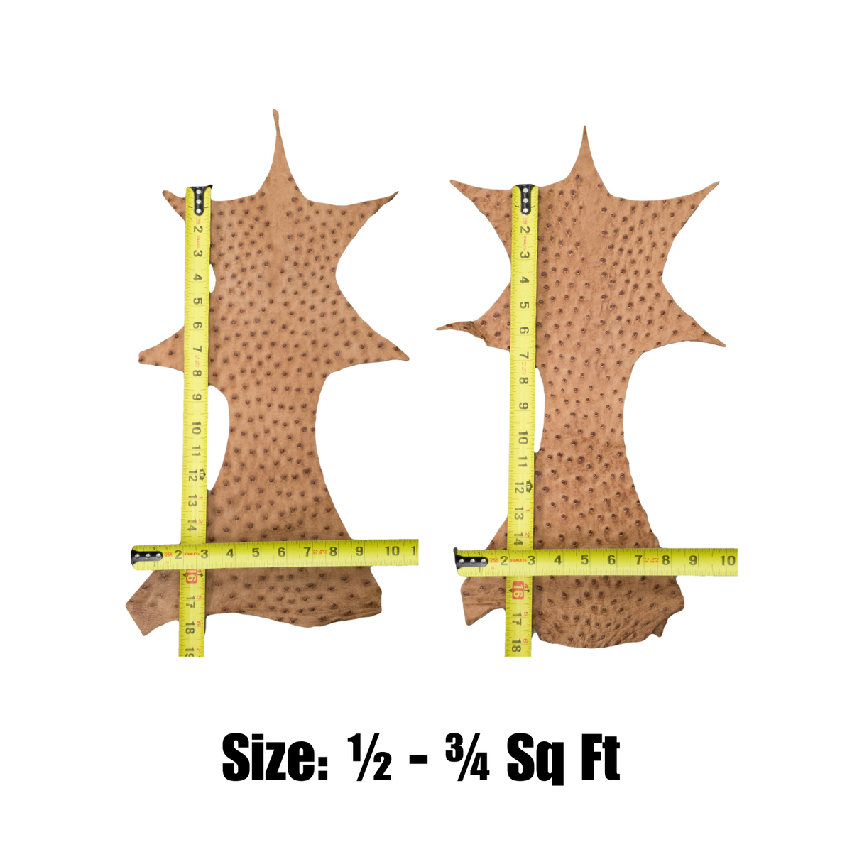 Genuine Ostrich Leather – Natural Quill Texture Project Pieces | Limited Stock, Warm Caramel / X-Small | The Leather Guy