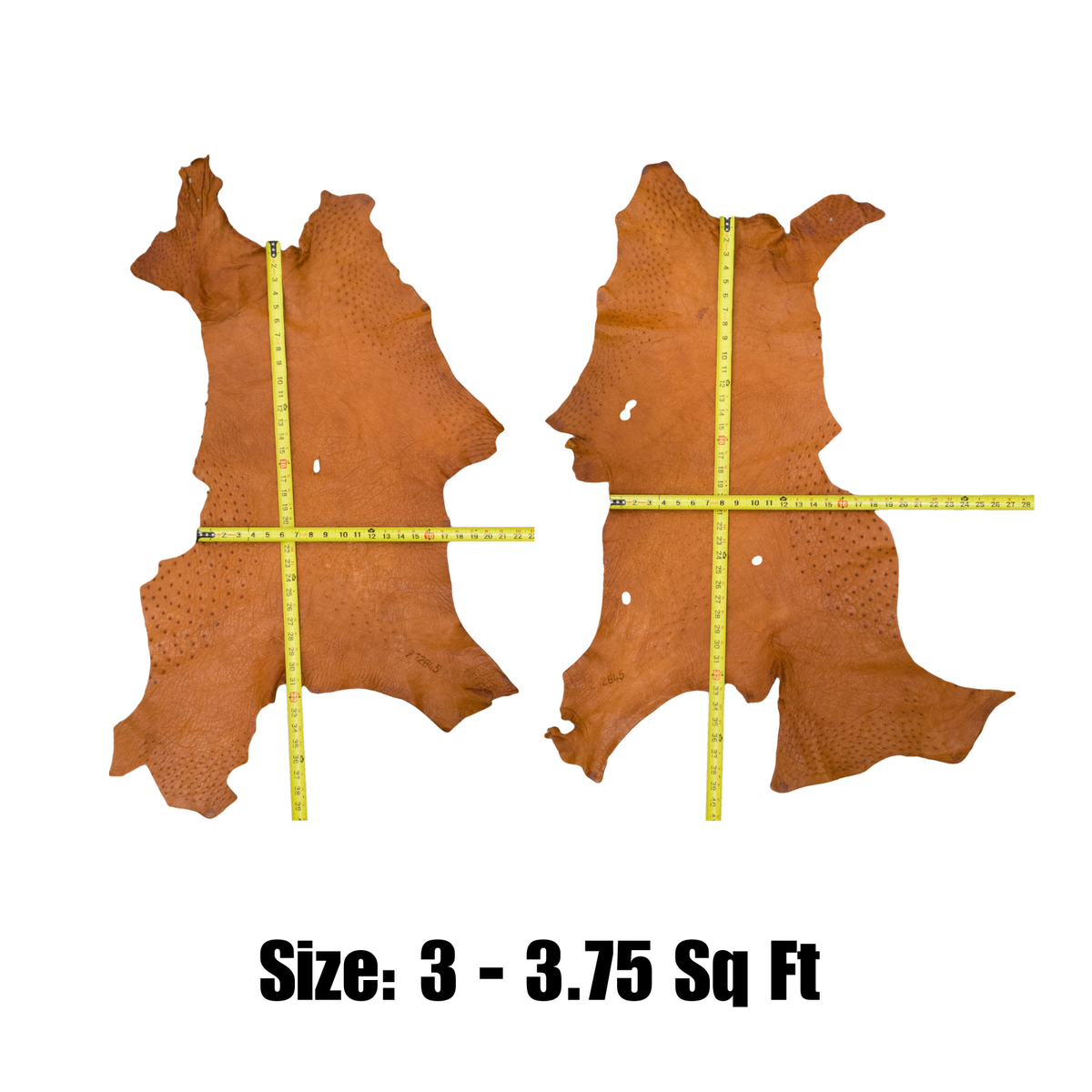 Genuine Ostrich, 0.5-2 Sq Ft, Project Pieces, Rustic Pumpkin / X-Large | The Leather Guy