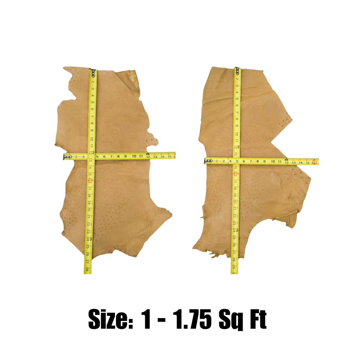 Genuine Ostrich, 0.5-2 Sq Ft, Project Pieces, Khaki Tan / Small | The Leather Guy