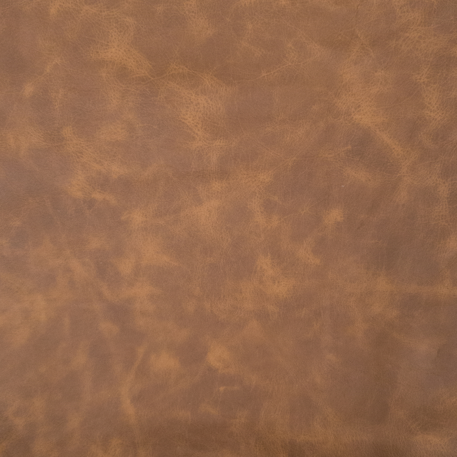 Upholstery Project Pieces Cowhide Leather – 2–4 oz Various Grain – Fits 14” & 19” Bar Stool Tops, Light-Medium Brown / 14 inches / Cinnamon Macchiato | The Leather Guy