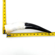 10" - 12" Single Polished Cow Horns, 4 (12") | The Leather Guy