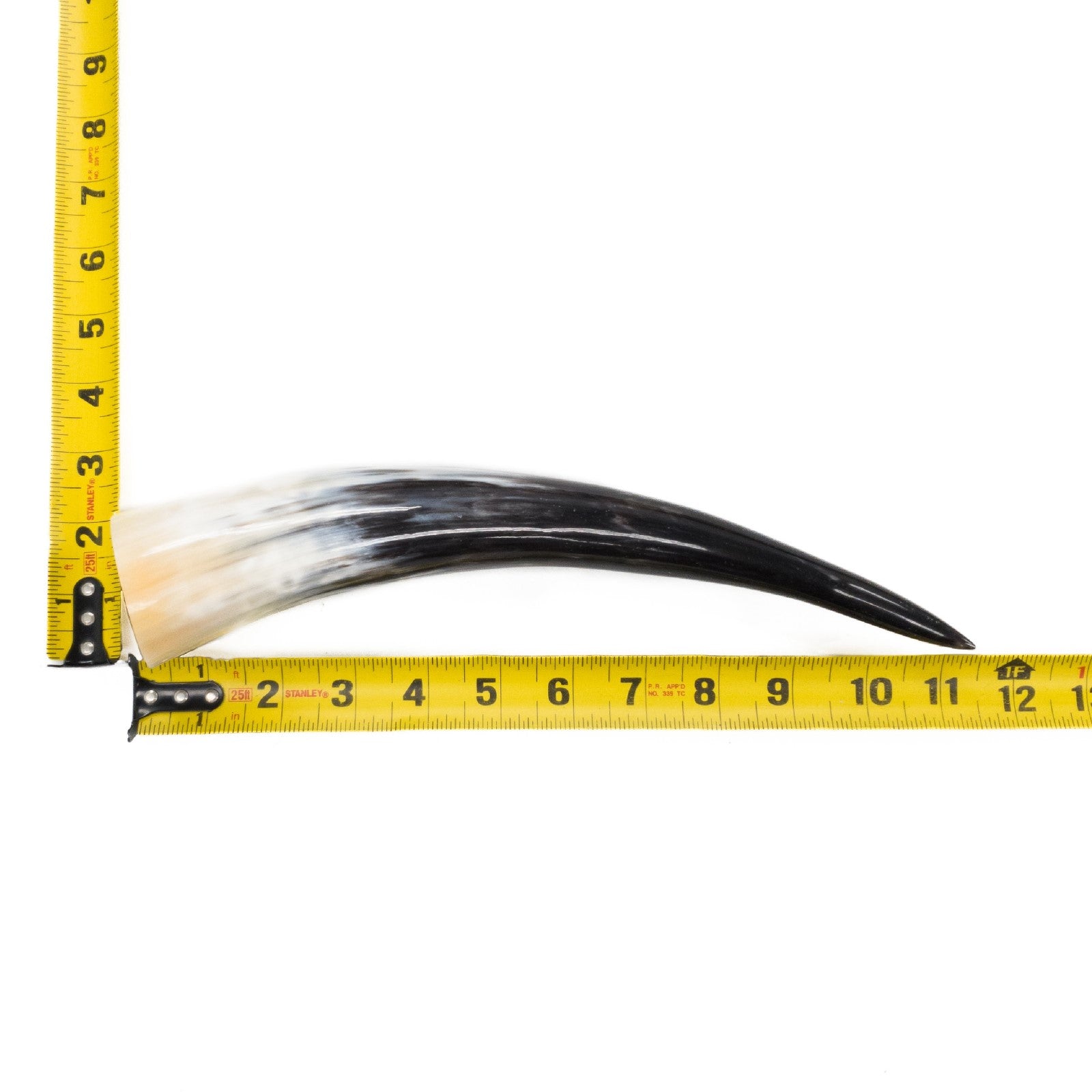 10" - 12" Single Polished Cow Horns, 6 (11") | The Leather Guy