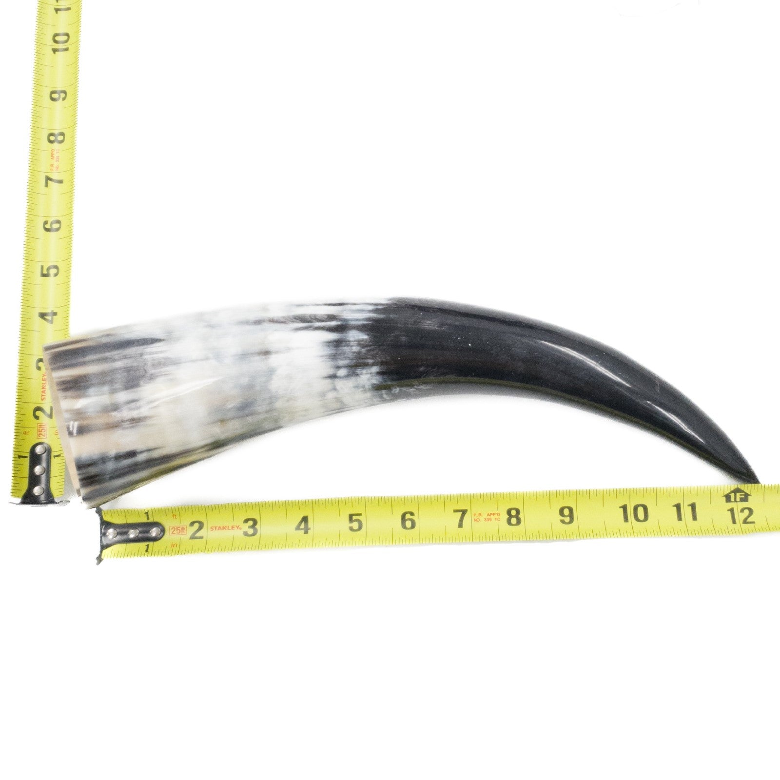 10" - 12" Single Polished Cow Horns, 10 (12") | The Leather Guy