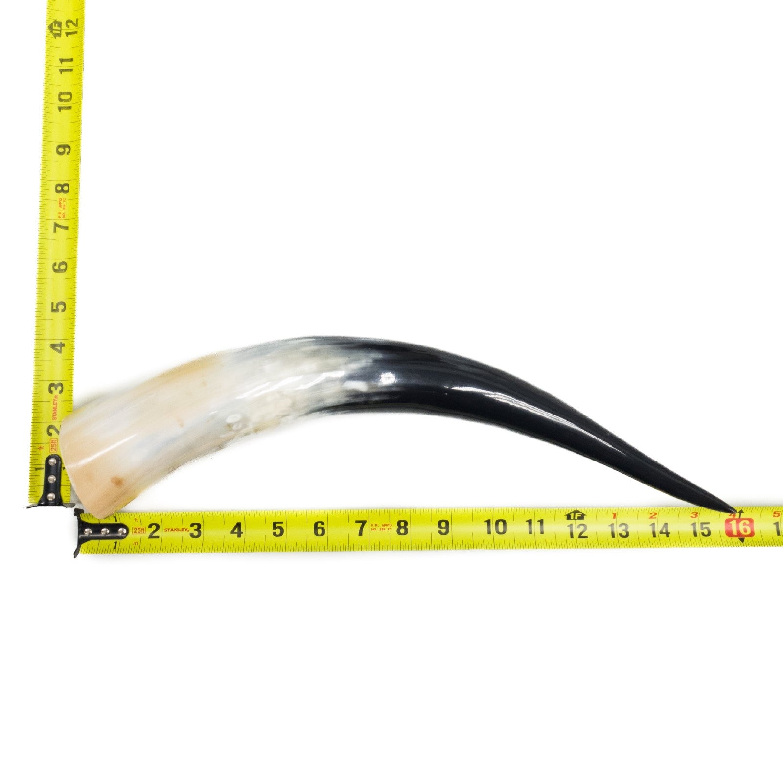 13" - 17" Single Polished Cow Horns, 6 (16") | The Leather Guy