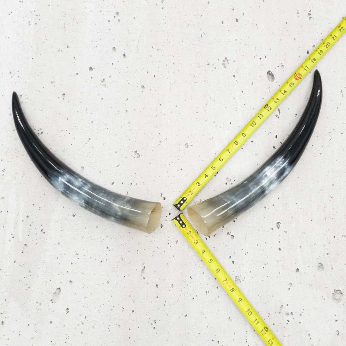 13" - 17" Pairs, Color Mix, Polished Cow Horns, 2 | The Leather Guy
