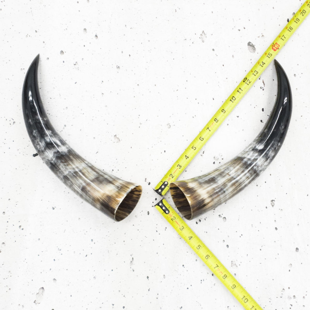 13" - 17" Pairs, Color Mix, Polished Cow Horns, 3 | The Leather Guy