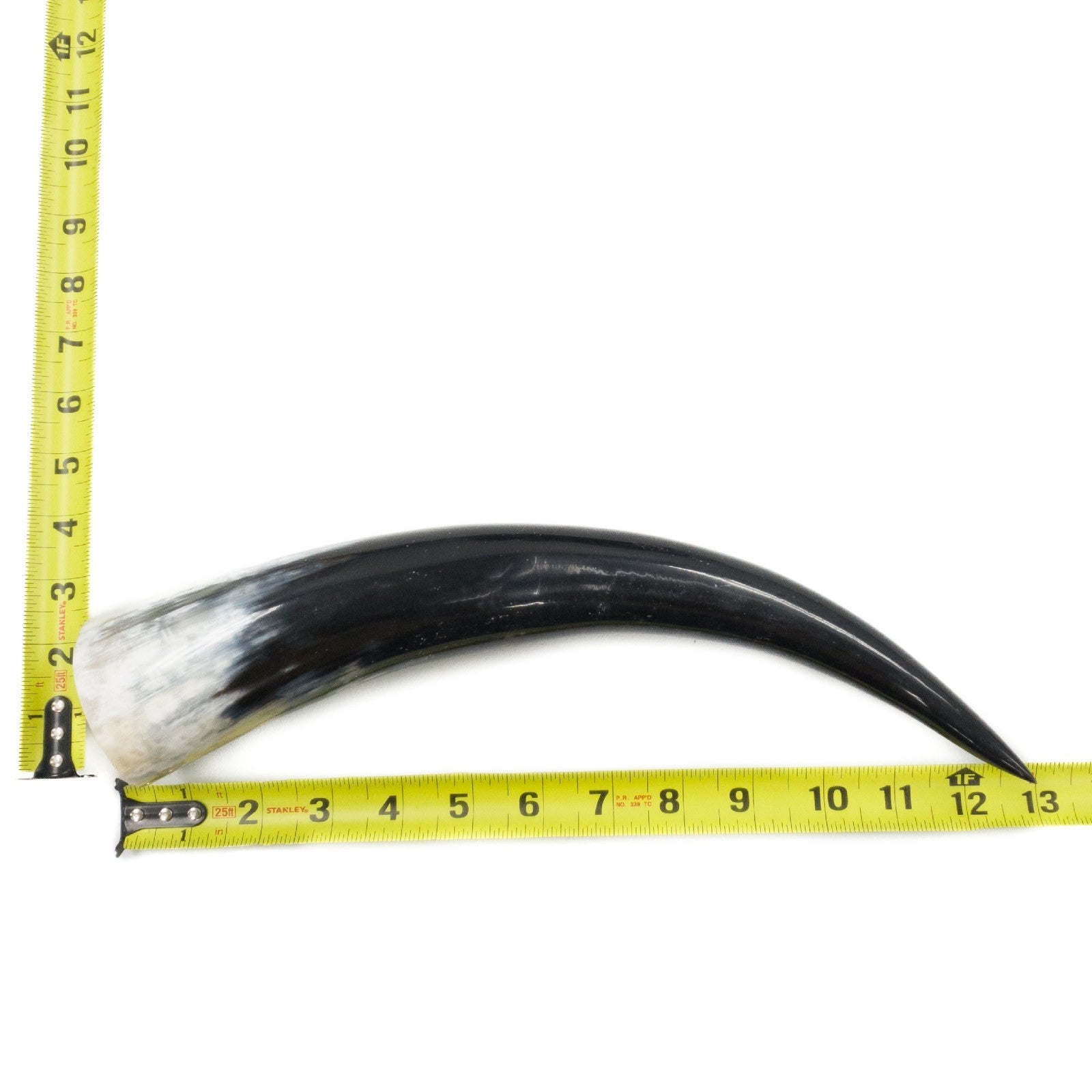 10" - 12" Single Polished Cow Horns, 19 (12") | The Leather Guy