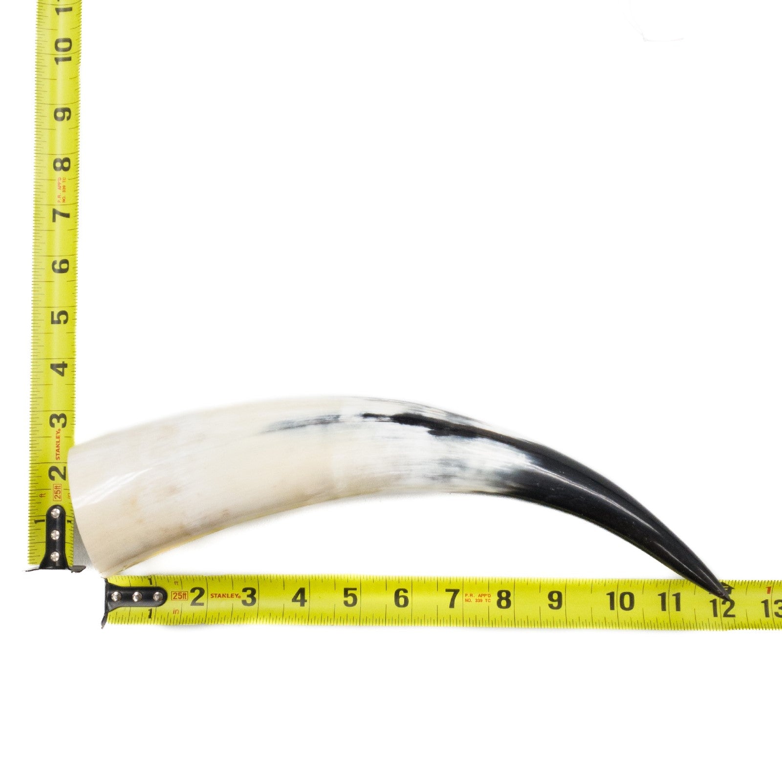10" - 12" Single Polished Cow Horns, 25 (12") | The Leather Guy