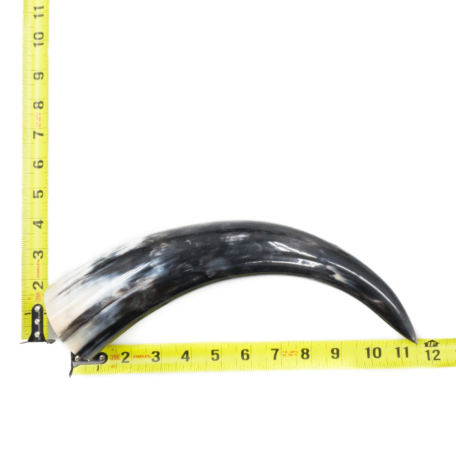 10" - 12" Single Polished Cow Horns, 27 (11") | The Leather Guy