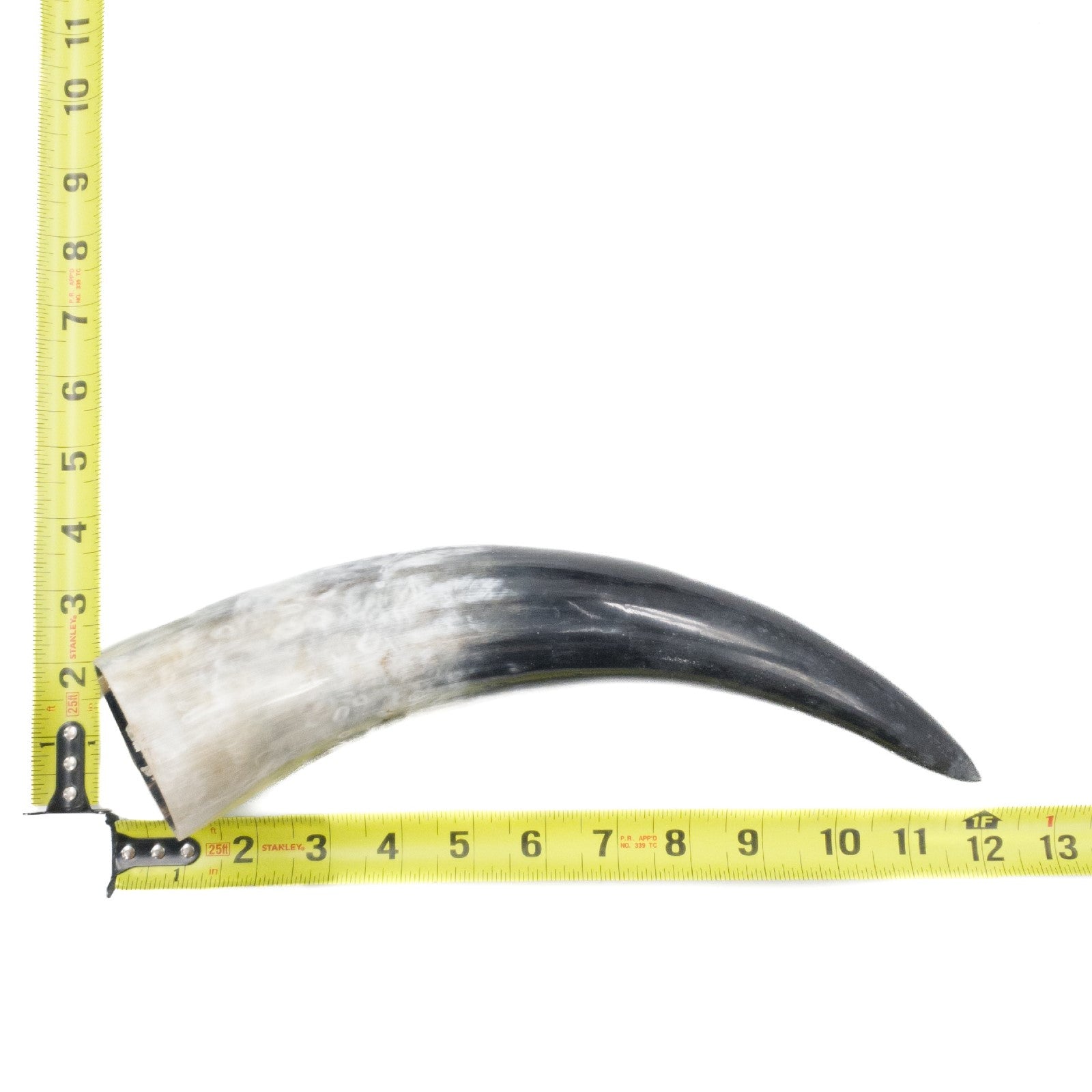 10" - 12" Single Polished Cow Horns, 3 (12") | The Leather Guy