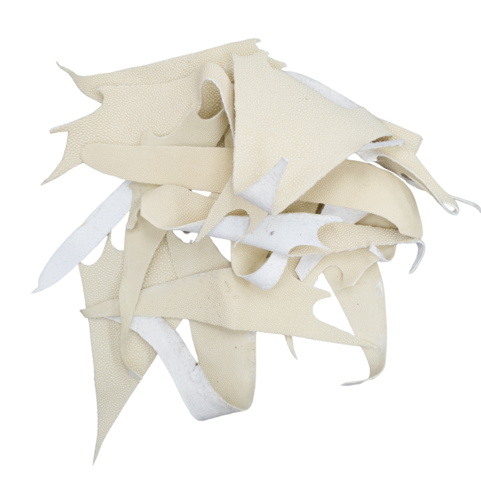 Stingray Leather Scrap, 3-4 oz, Cream Colored Remnant Bag, | The Leather Guy