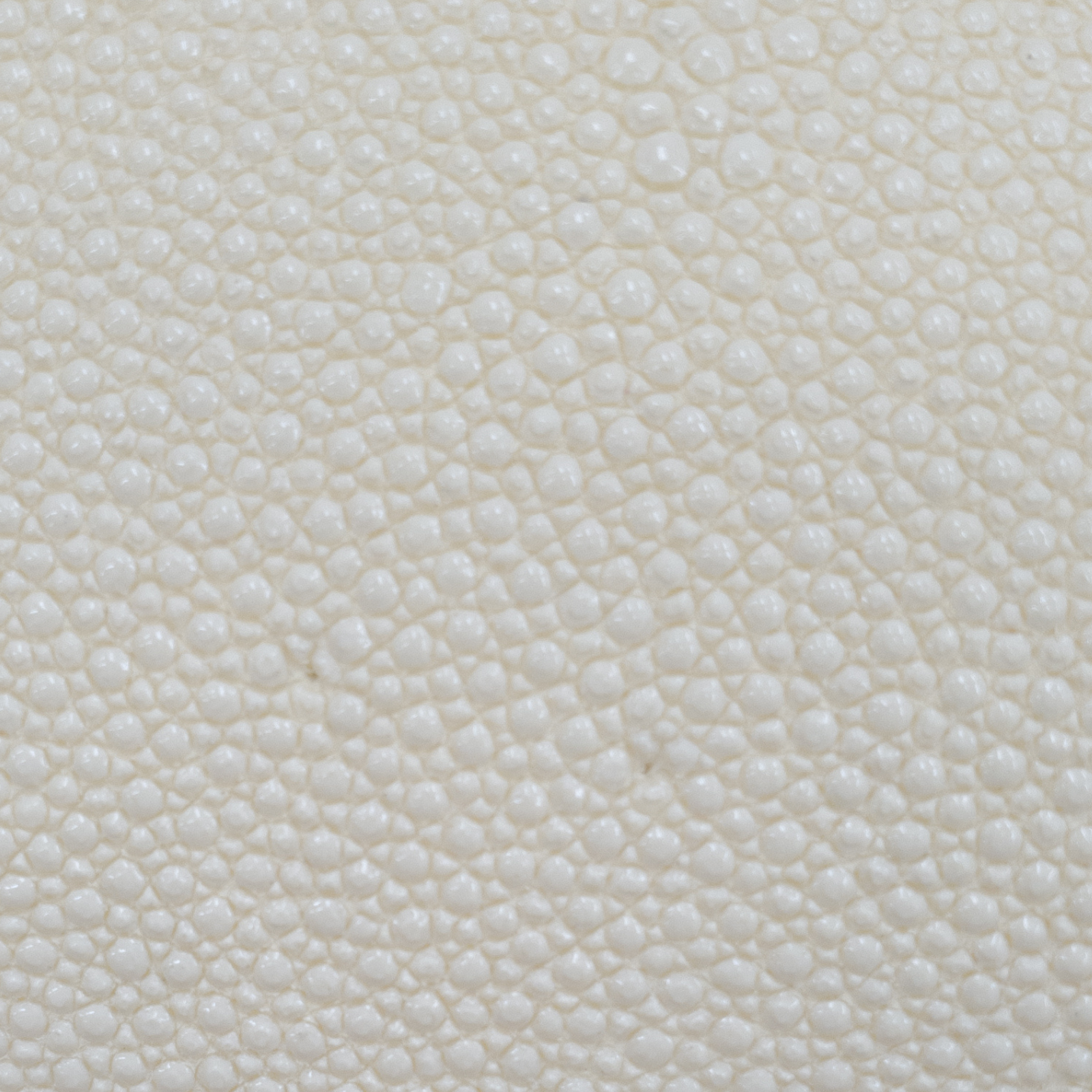 Stingray Leather Scrap, 3-4 oz, Cream Colored Remnant Bag, | The Leather Guy