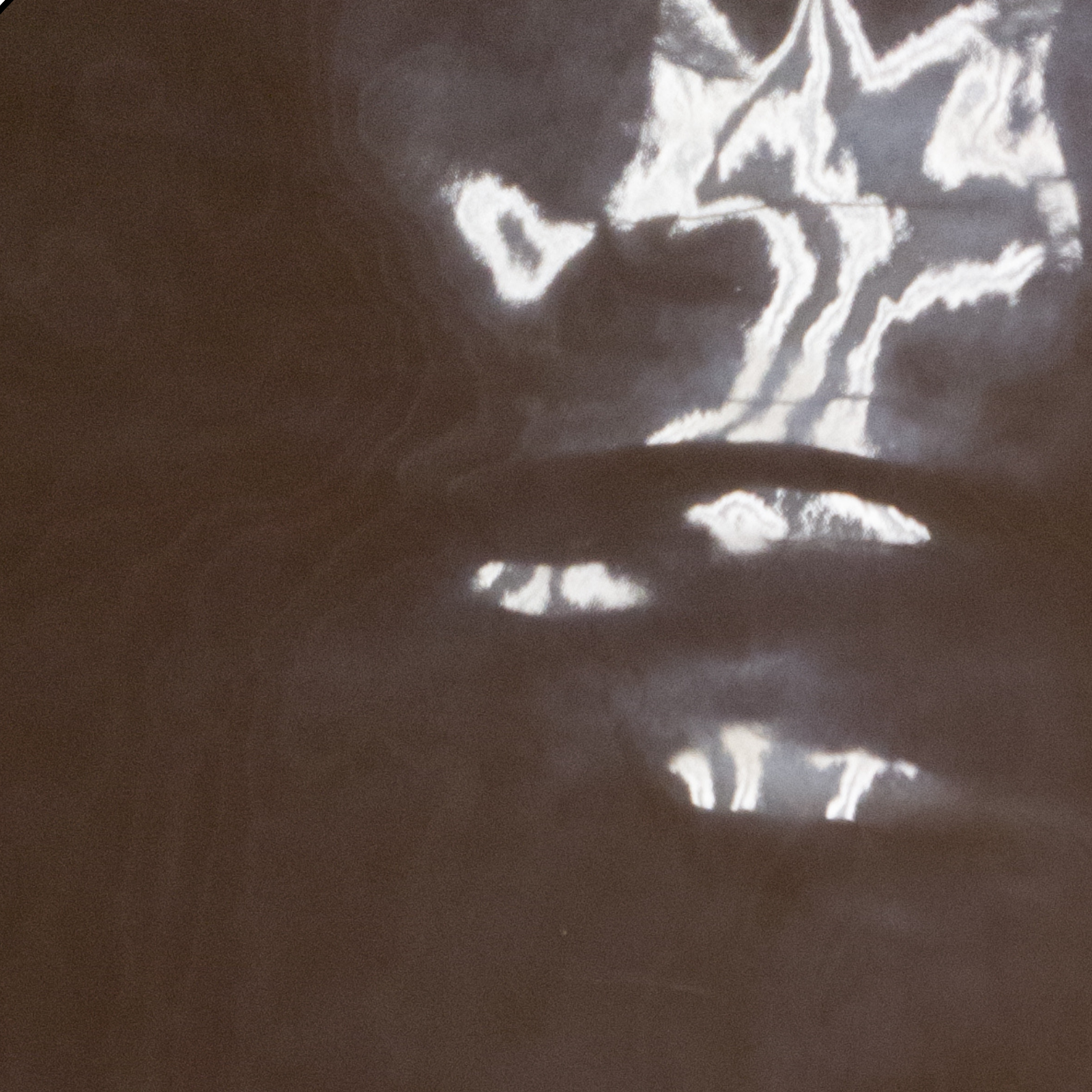 Solid Colors, Patent Cow Handbag Leather, Nonstock Precuts, Dark Brown / 8 x 10 | The Leather Guy