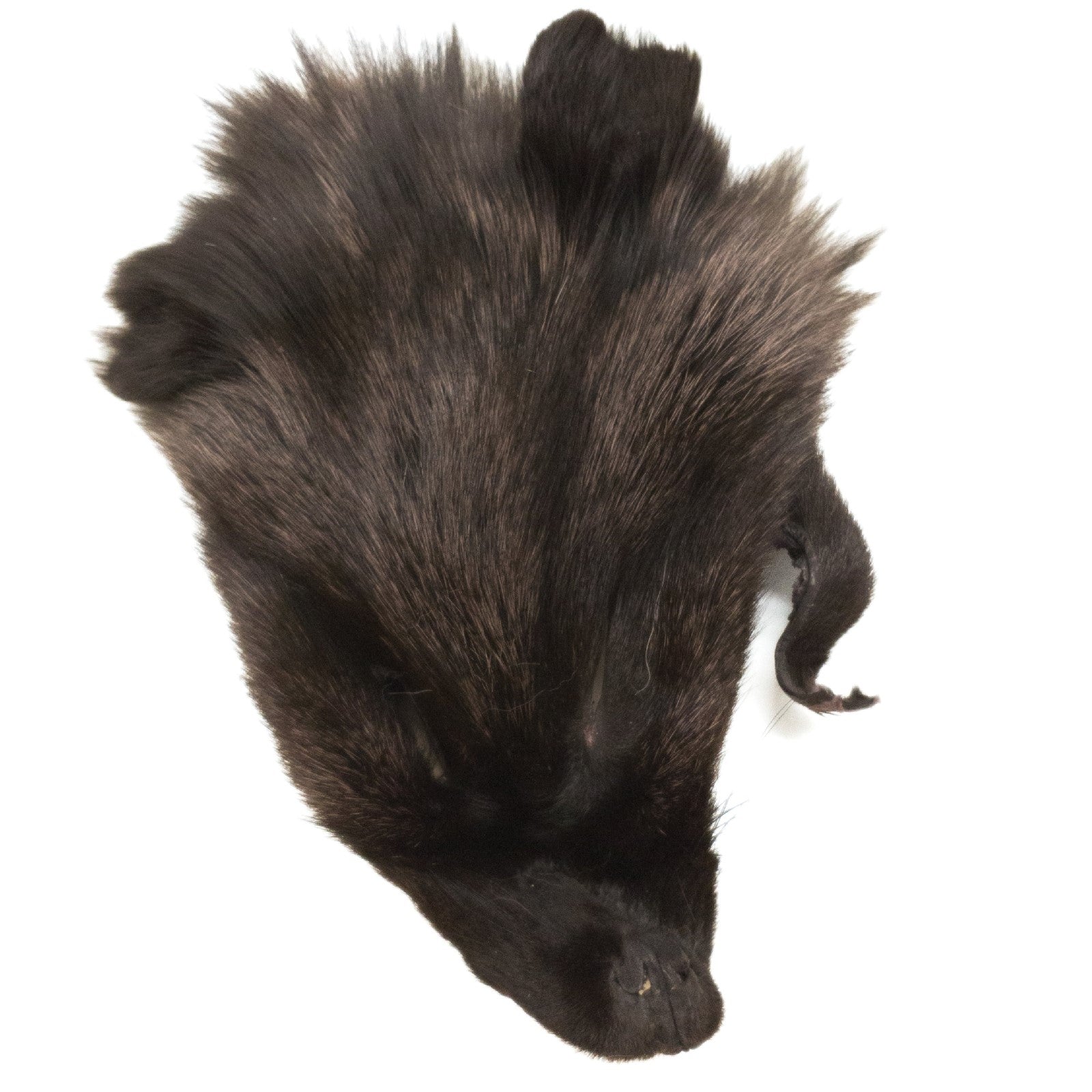 Craft Grade Dyed Fur Face Remnants | Genuine Fur | The Leather Guy