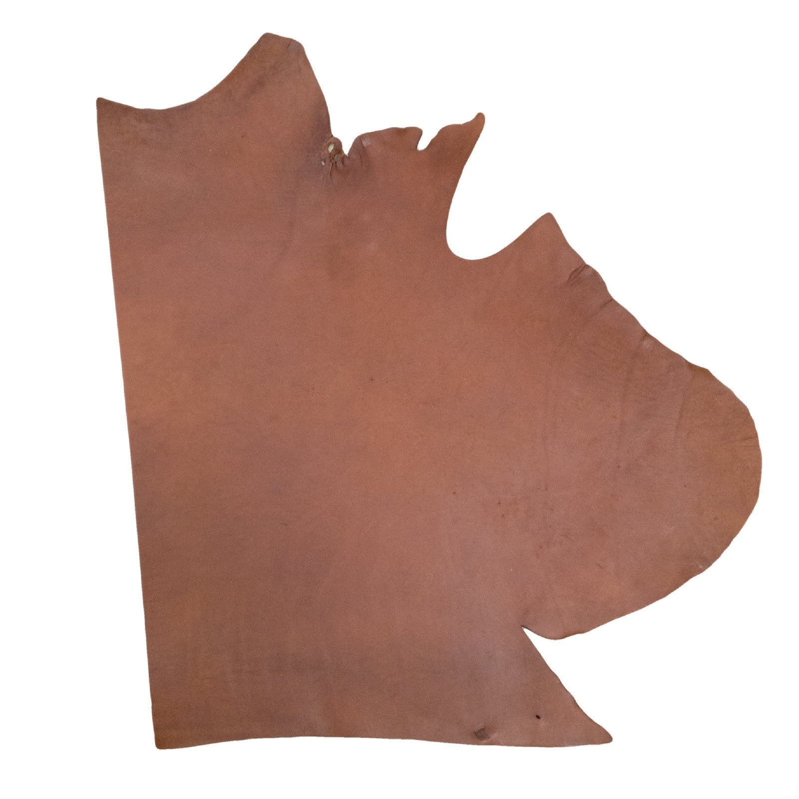 Dark Brown, 3-5 SqFt, 9-11 oz, Bridle Project Pieces,  | The Leather Guy