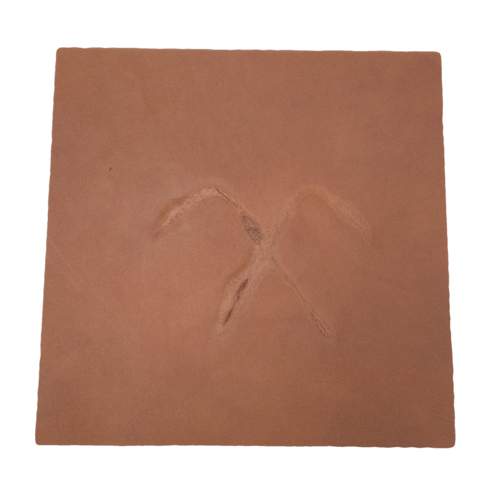Grunge Branded Pre-cuts, 5-6 oz Oil Tan, Limited Stock Pre-cuts, 5 (12"x12") Dove (Red Brown) | The Leather Guy