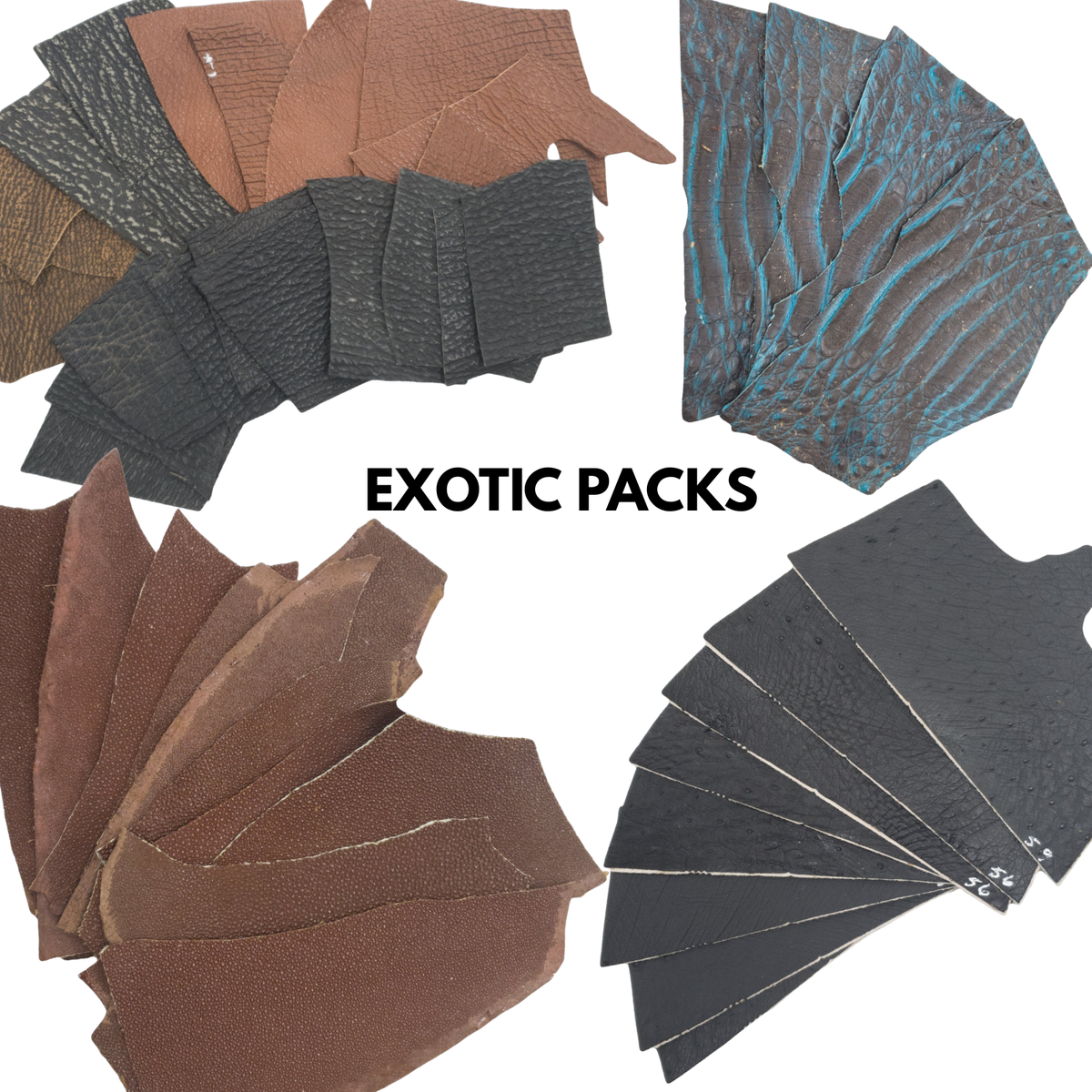 Exotic Mixed Color Leather Scrap and pieces, 1-5 oz, Remnant Bundle, | The Leather Guy