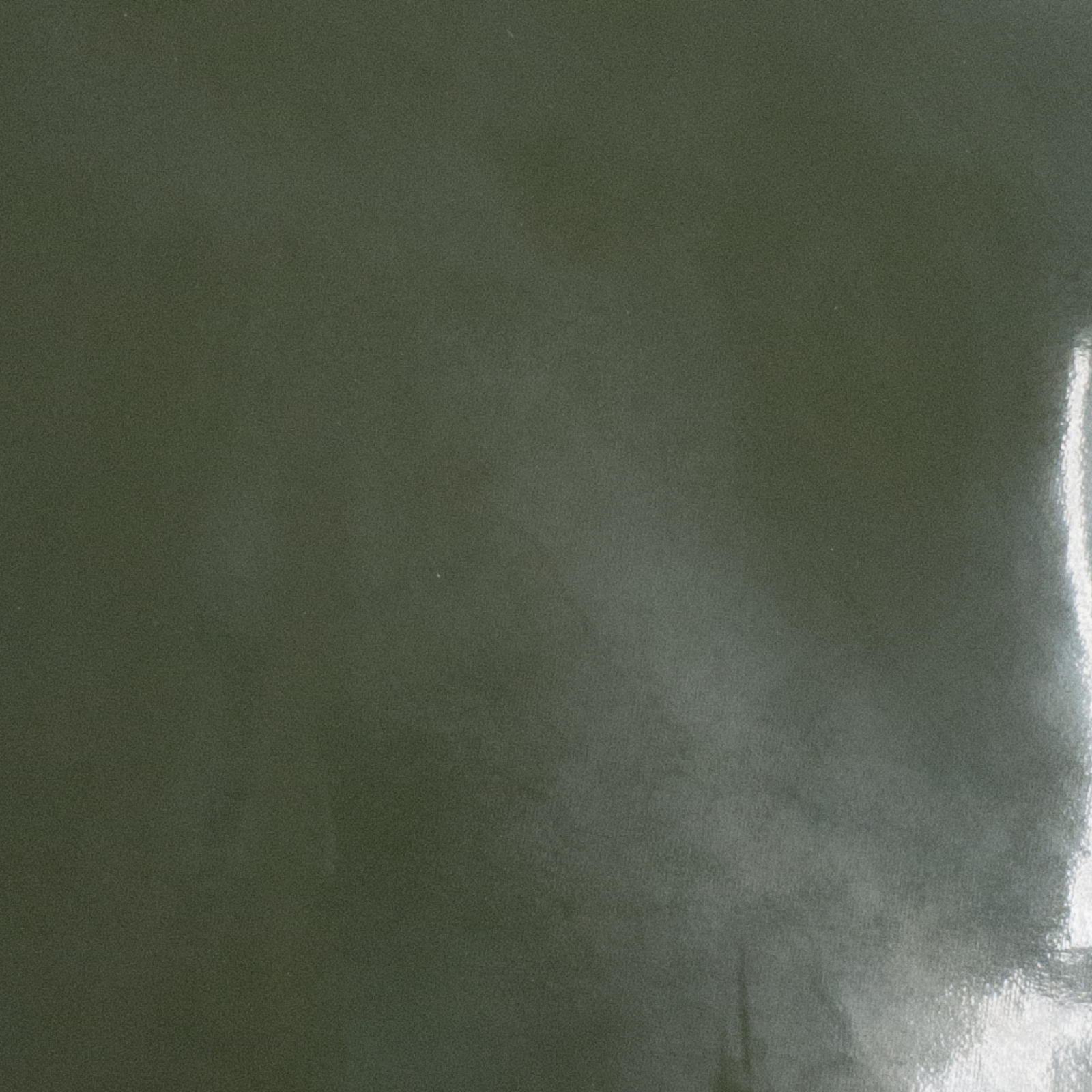 Solid Colors, Patent Cow Handbag Leather, Nonstock Precuts, Fancy Fern Green / 8 x 10 | The Leather Guy