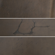 IN STORE : Gambler Brown, Oil Tan Side 17-27 Sq Ft Average, | The Leather Guy