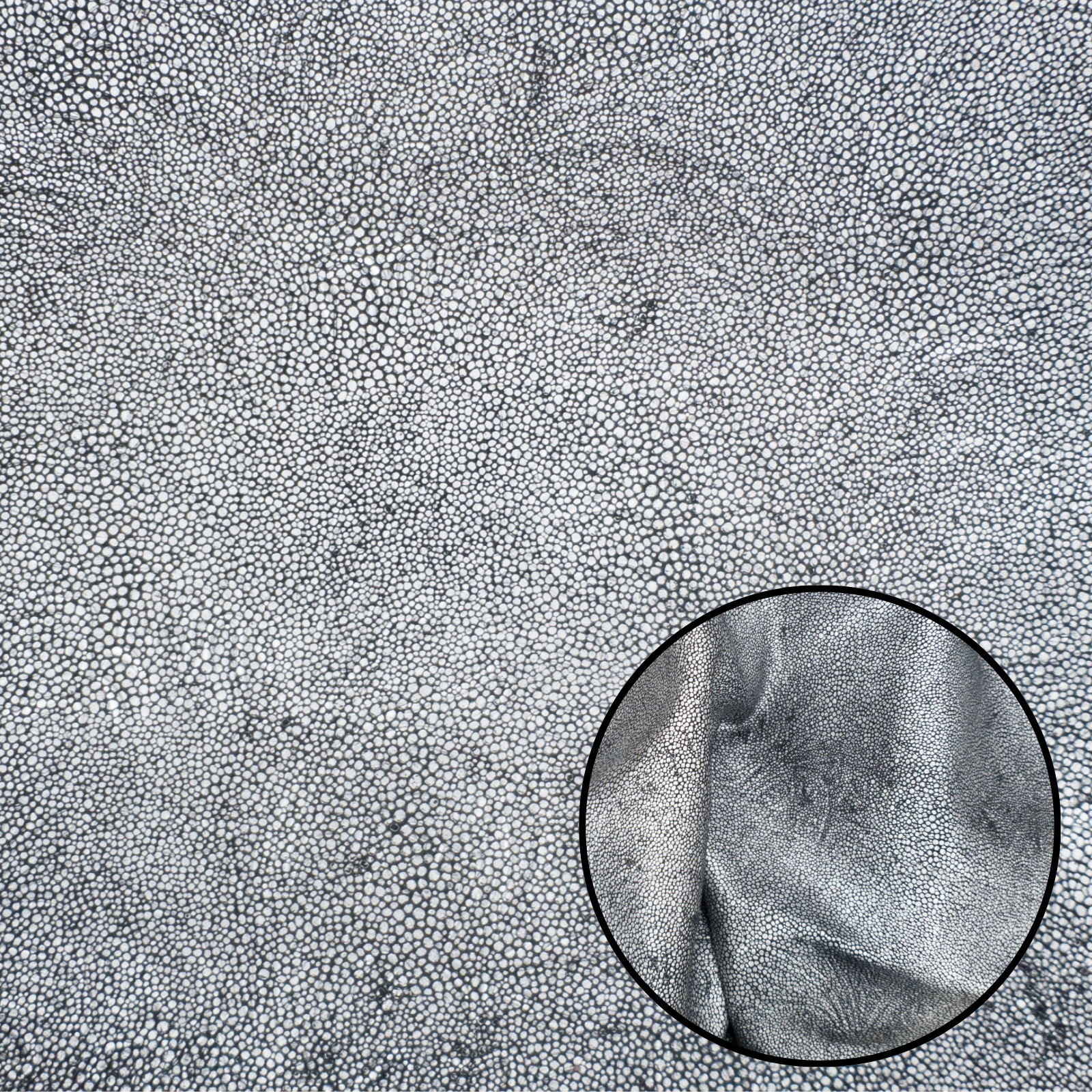 Stingray Print on Suede, 2-4 oz Fashion, Limited Stock Pre-cuts, Flowering Tin / 4 x 6 | The Leather Guy