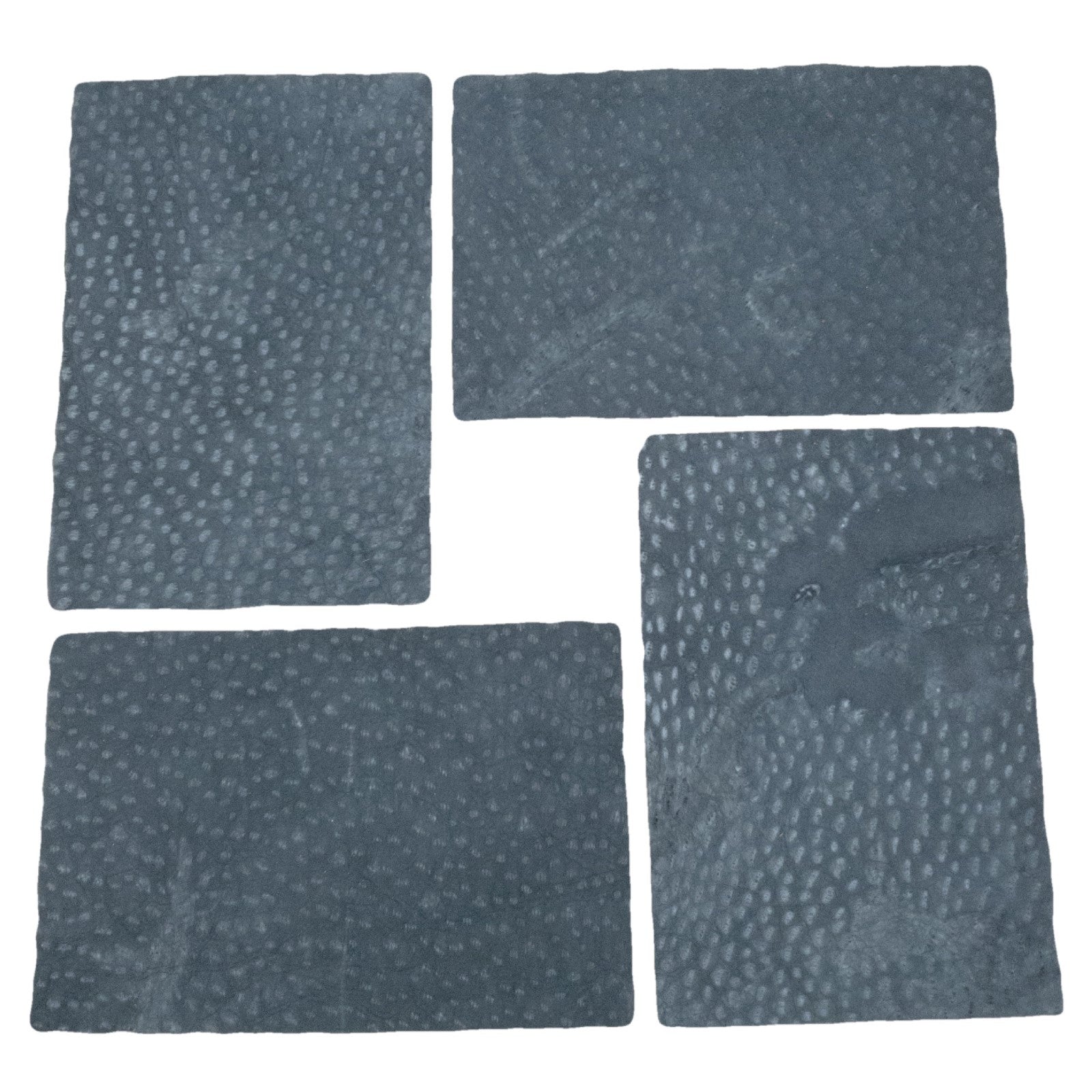 Genuine Carpincho (Capybara) Leather, 3 - 4 oz, Chrome Tan Pre-Cuts, Gray / 4"x6" | The Leather Guy
