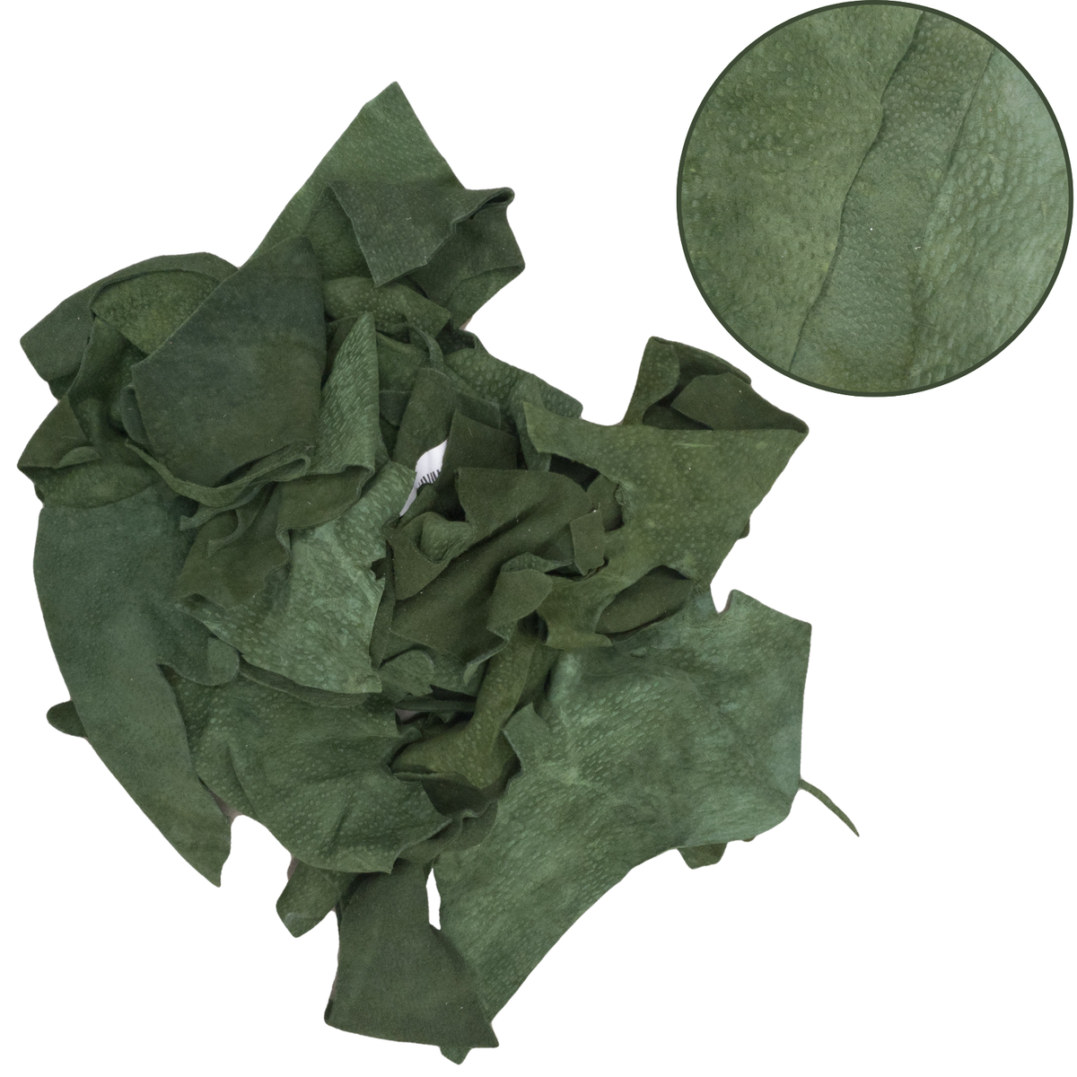 Carpincho (Capybara) Leather Scraps & Remnants – Chrome Tanned, 3–4 oz, Green / Small / 1/2 lb | The Leather Guy
