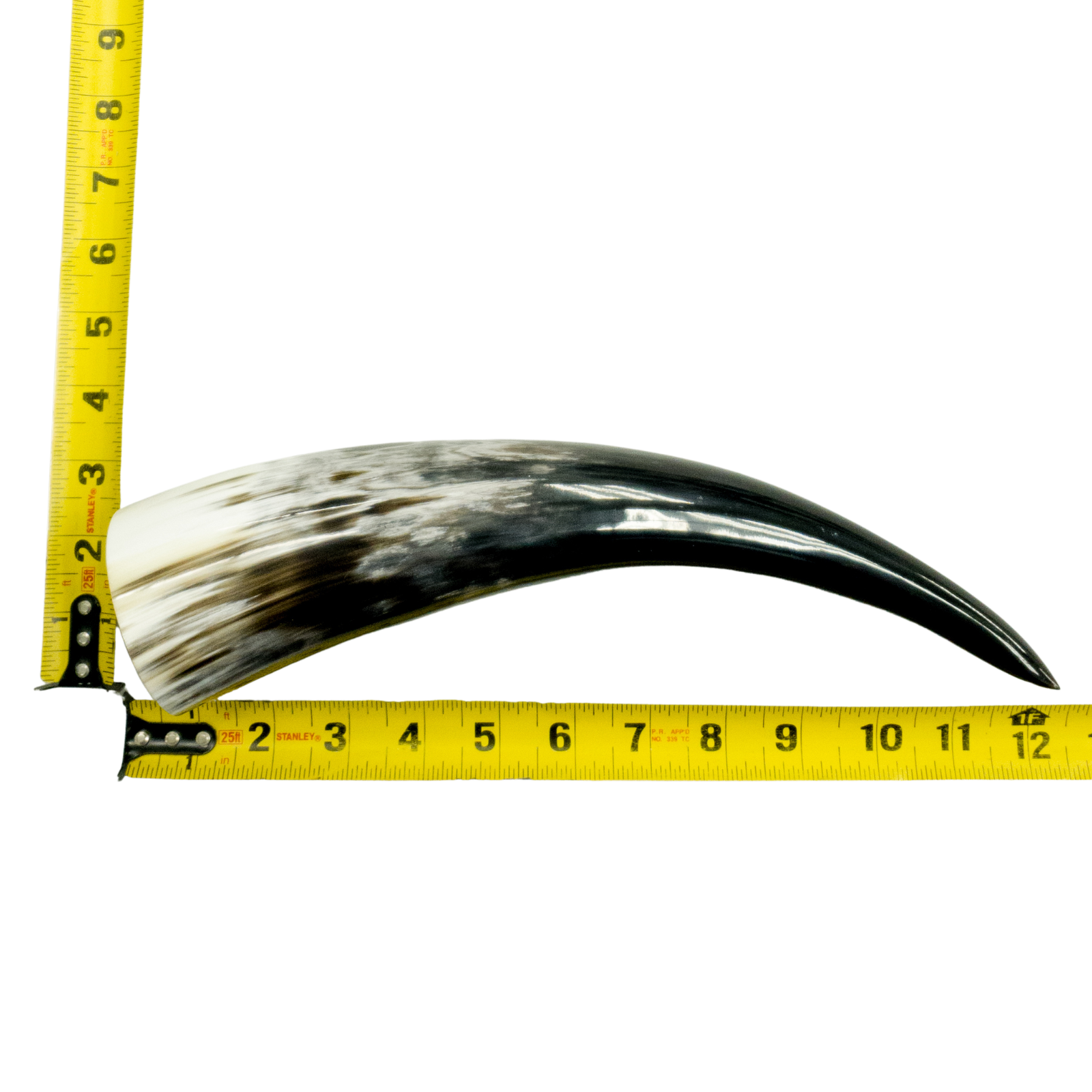 10" - 12" Single Polished Cow Horns, 4 (11") | The Leather Guy