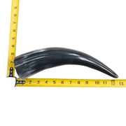 10" - 12" Single Polished Cow Horns, 5 (12") | The Leather Guy