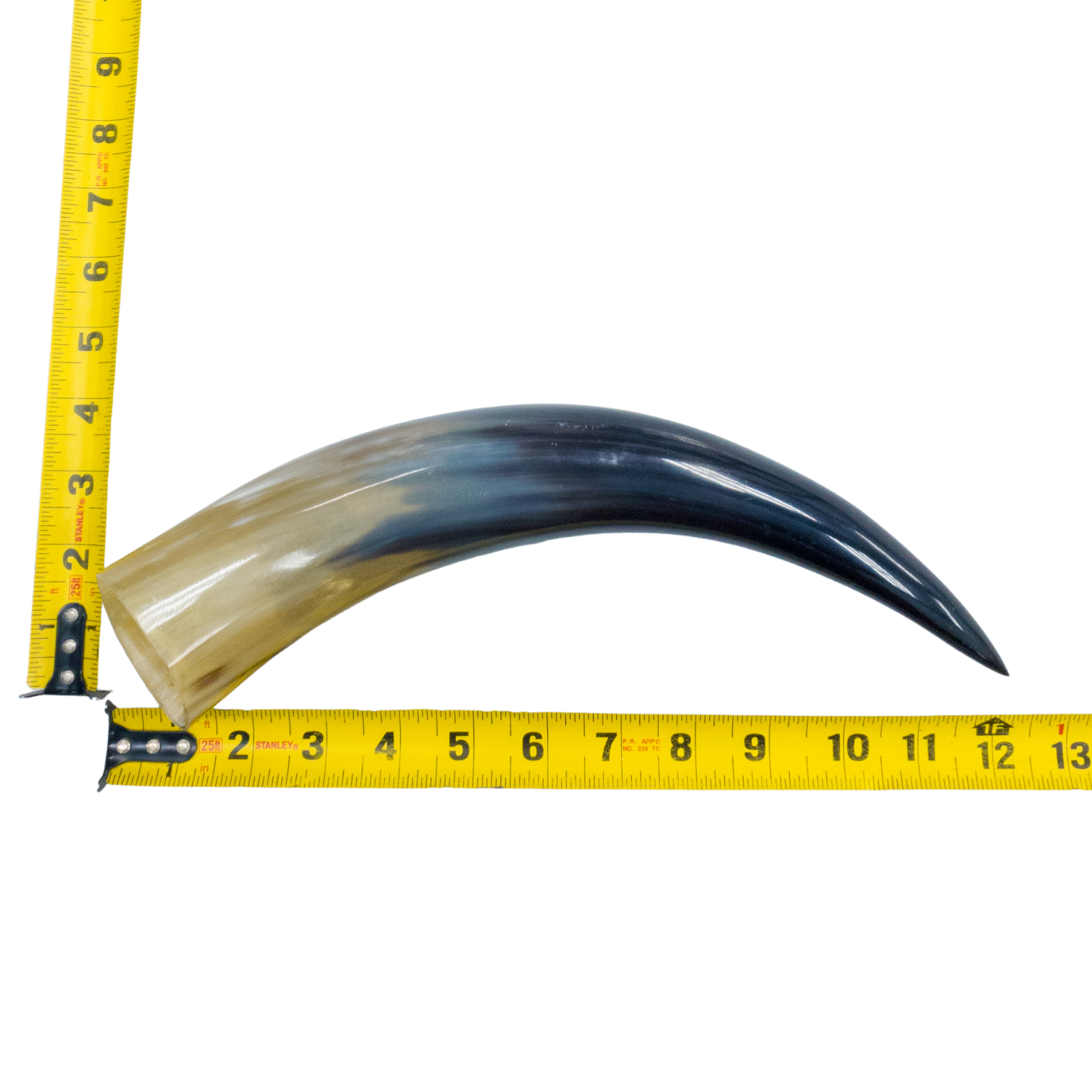 10" - 12" Single Polished Cow Horns, 8 (12") | The Leather Guy