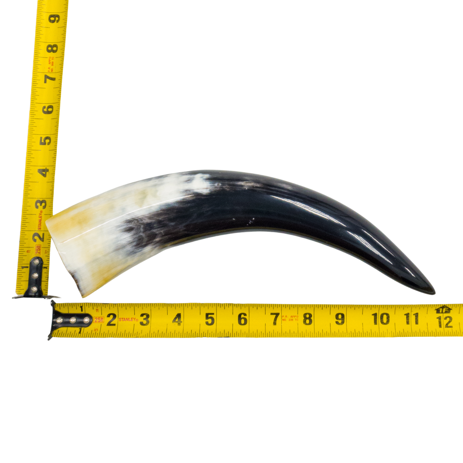 10" - 12" Single Polished Cow Horns, 9 (12") | The Leather Guy
