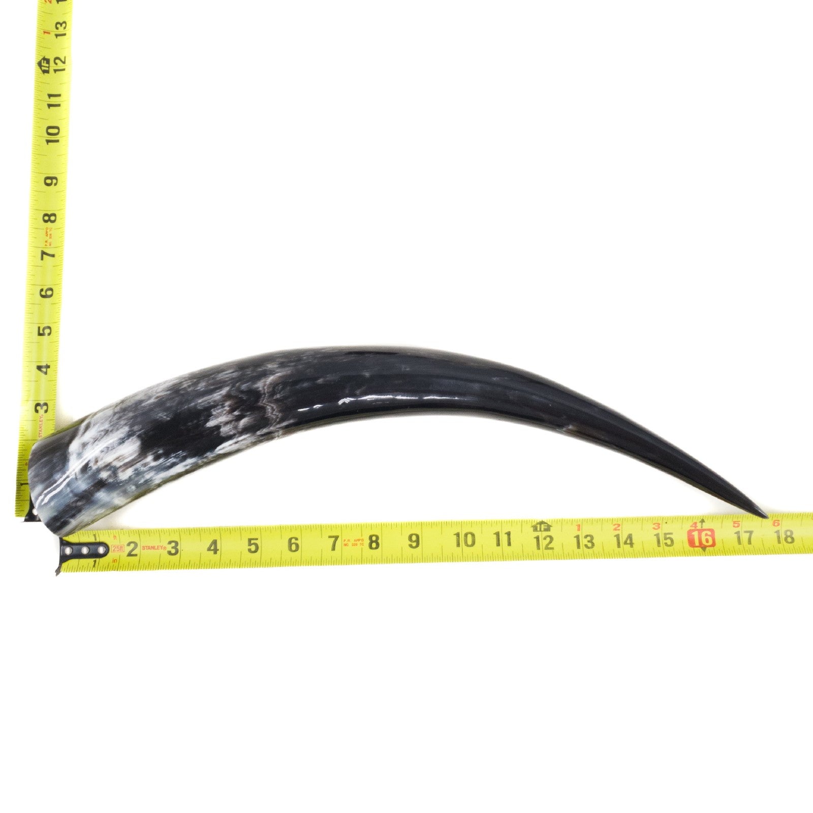 13" - 17" Single Polished Cow Horns, 13 (17") | The Leather Guy