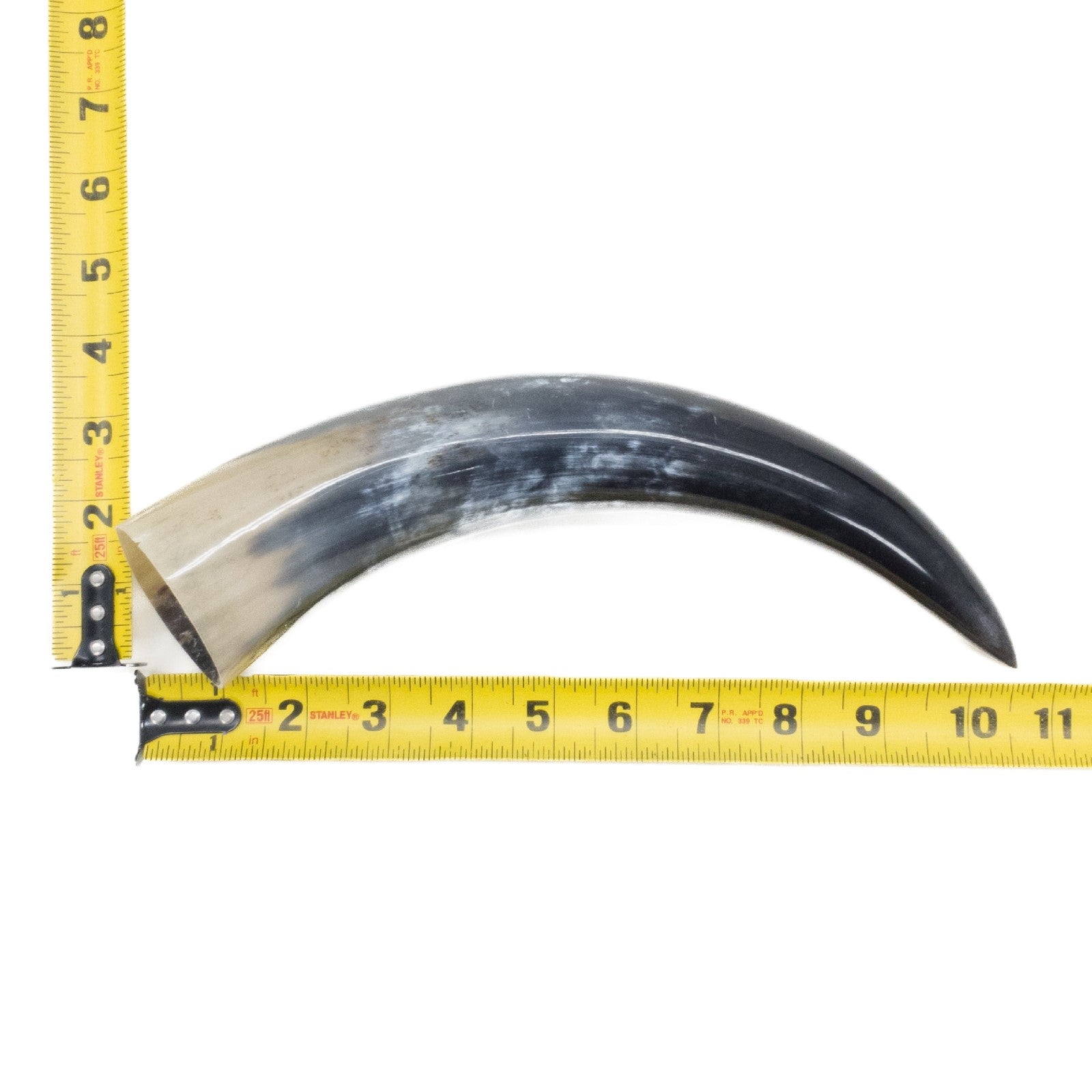 10" - 12" Single Polished Cow Horns, 23 (11") | The Leather Guy