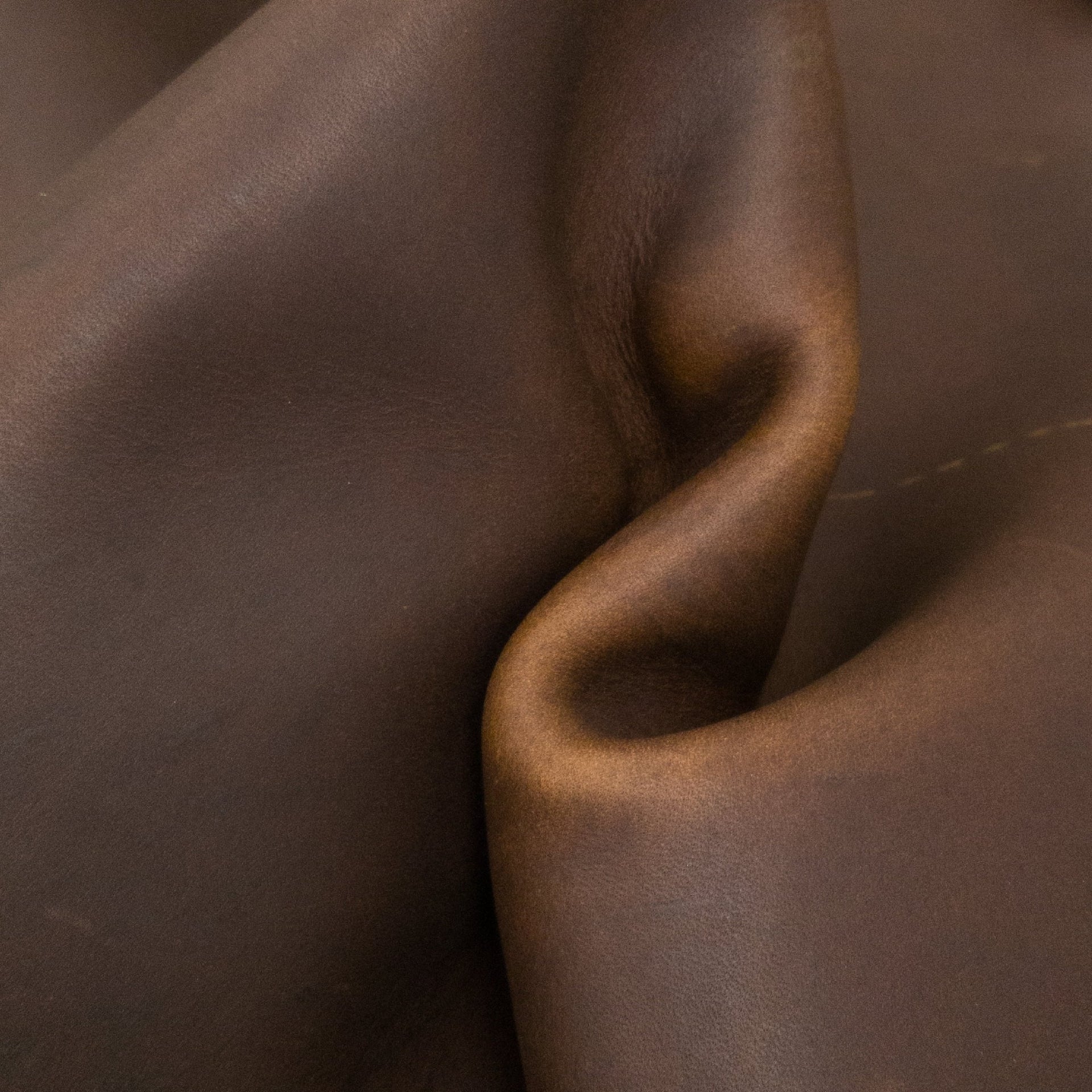 SB Foot, Med-Dark Brown Non-stock, Oil Tanned Sides & Project Pieces - Various Options, Hard Cider (Wood) / 21 - 23 Sq Ft | The Leather Guy