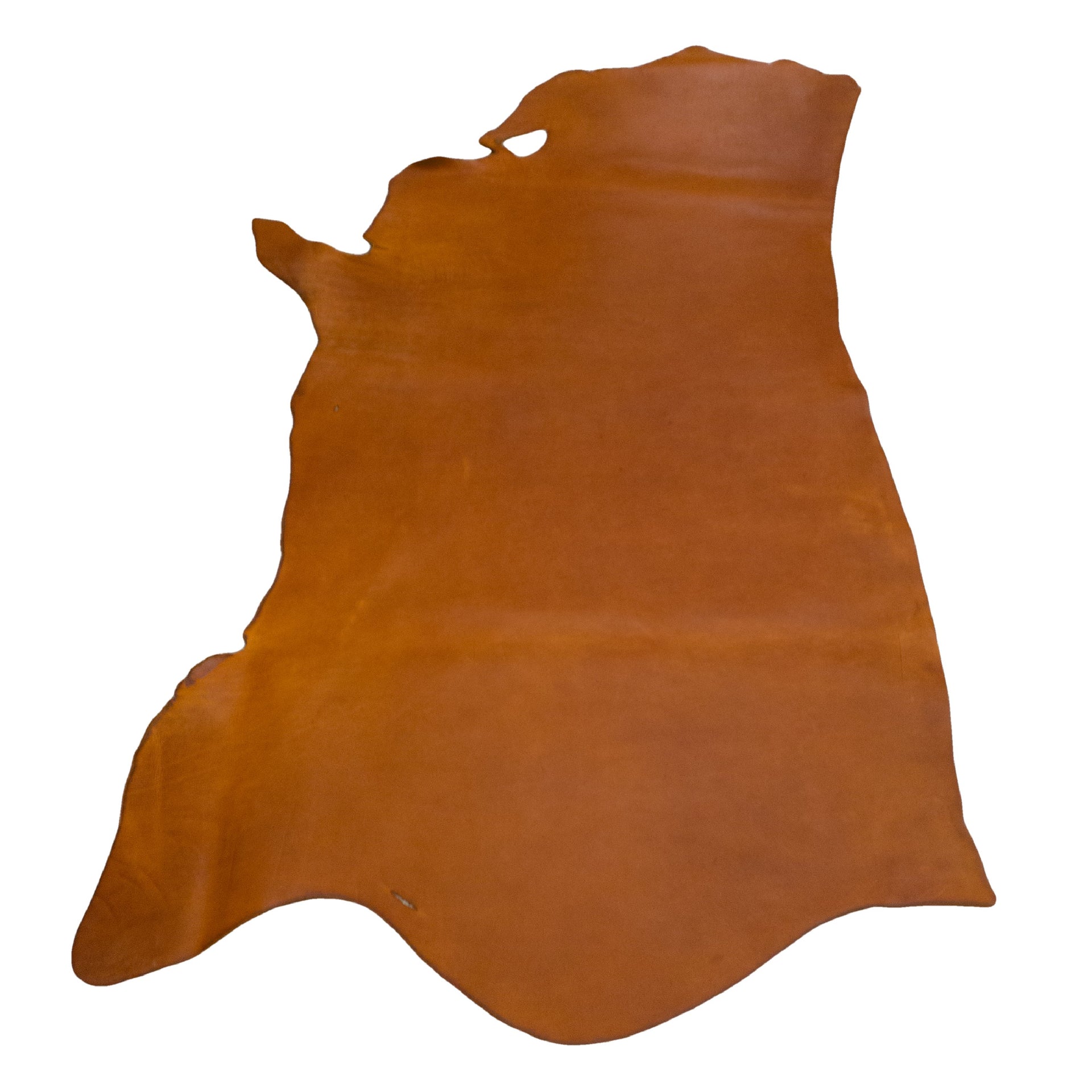 Harness (Houdini), SB Foot, Non-stock, 5-6oz, Oil Tanned Hides, Side / 18 - 20 Sq Ft | The Leather Guy