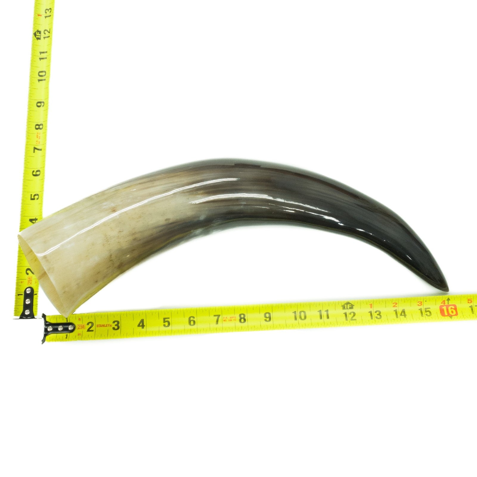 13" - 17" Single Polished Cow Horns, 15 (16") | The Leather Guy