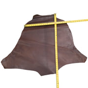 Kangaroo Chocolate Dyed Veg Tanned 5 - 7 Sq Ft Hides 2-3 oz, 6 Sq Ft / Hide 2 | The Leather Guy