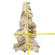 Light to Medium Brindle, 3-7 Sq Ft Hair-on Cowhide Project Pieces, 4 Sq Ft / 5 | The Leather Guy
