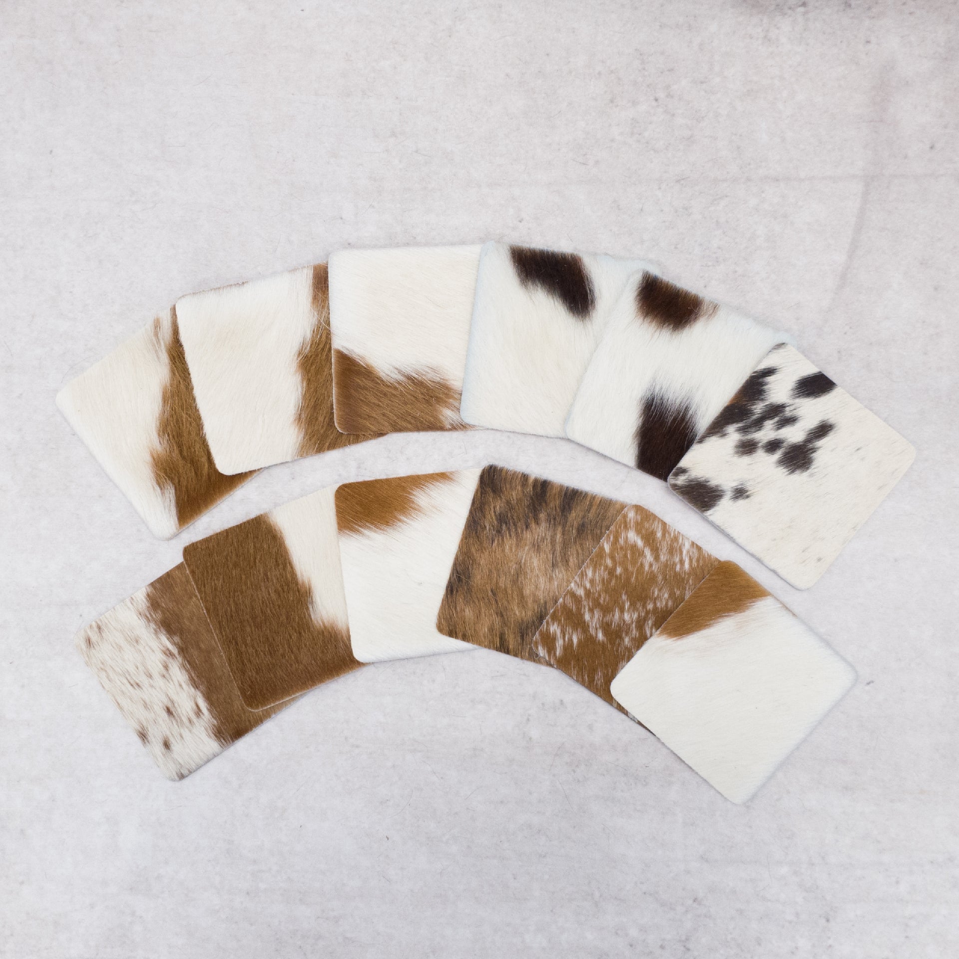 6pk Hair on Cow, Western Coaster Set, Square / Brown and White / 12 pk | The Leather Guy