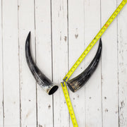 13" - 17" Pairs, Polished Cow Horns, 9 | The Leather Guy