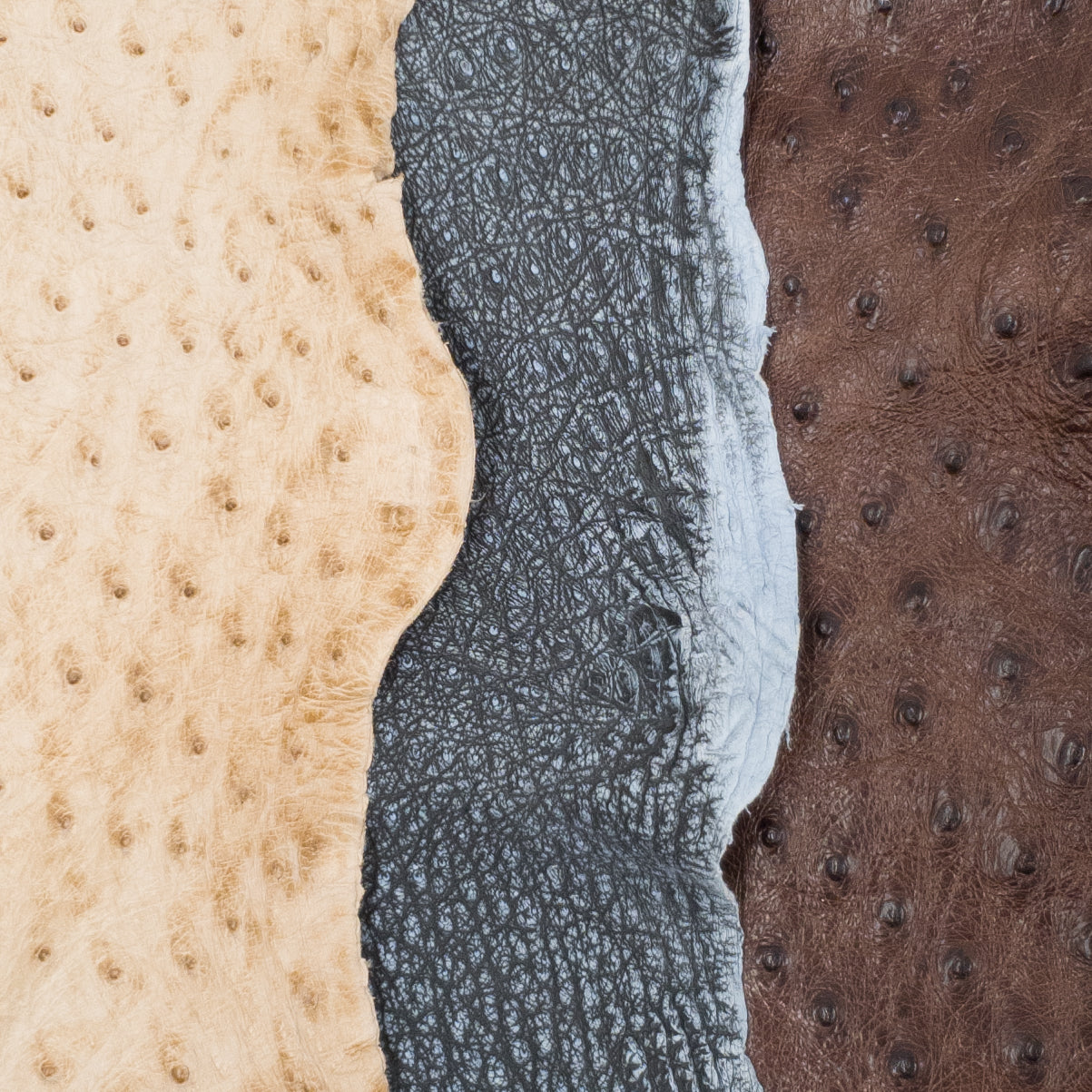 Ostrich, 1-2 Sq Ft, Project Pieces, | The Leather Guy