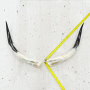 24" - 30" Pairs, Black Mix, Polished Cow Horns, 4 | The Leather Guy