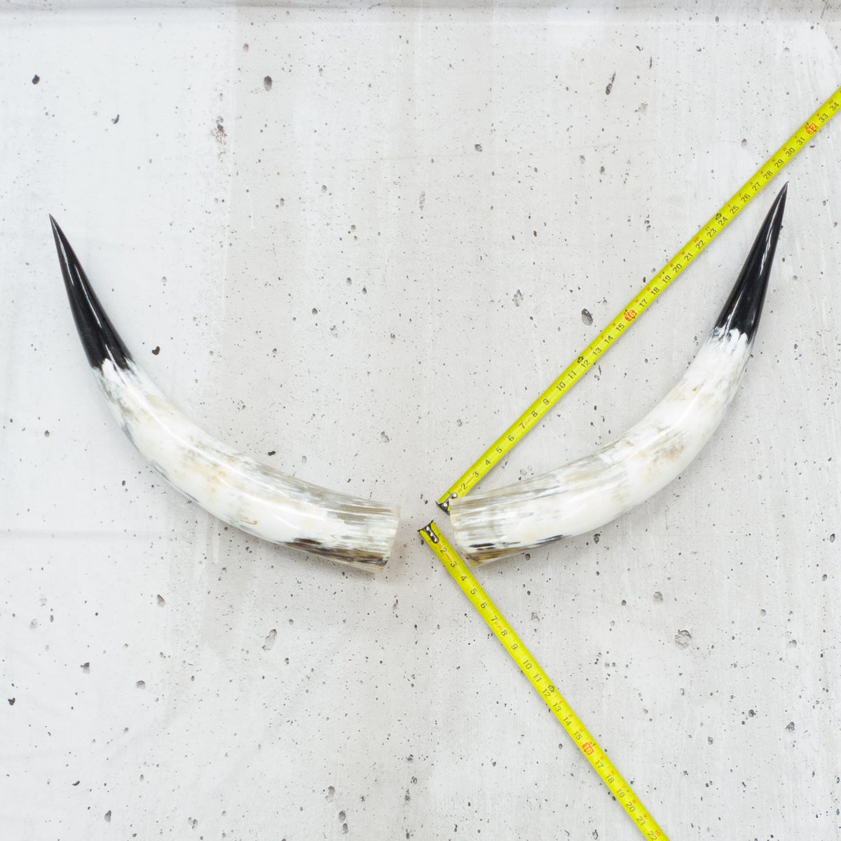 24" - 30" Pairs, Black Mix, Polished Cow Horns, 5 | The Leather Guy