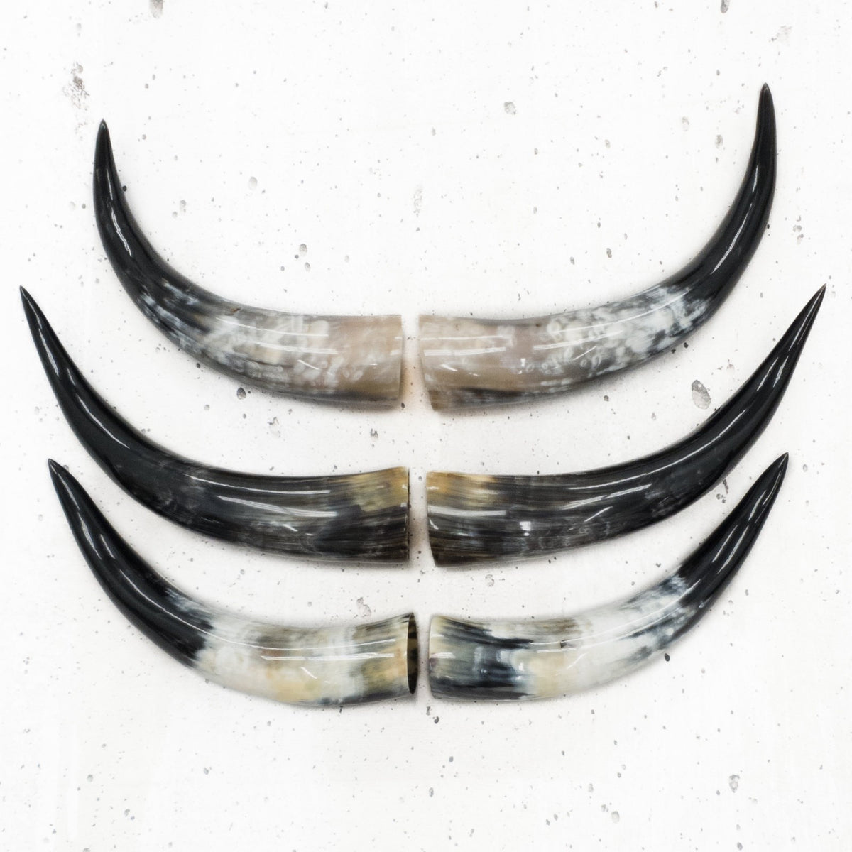 13" - 17" Pairs, Color Mix, Polished Cow Horns, | The Leather Guy