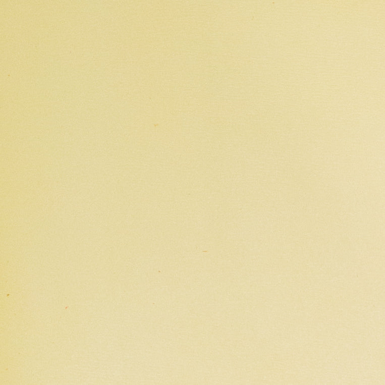 Solid Color Cowhide Handbag Leather Pre-Cuts 4-5oz, Warmed Butter / 4 x 6 | The Leather Guy