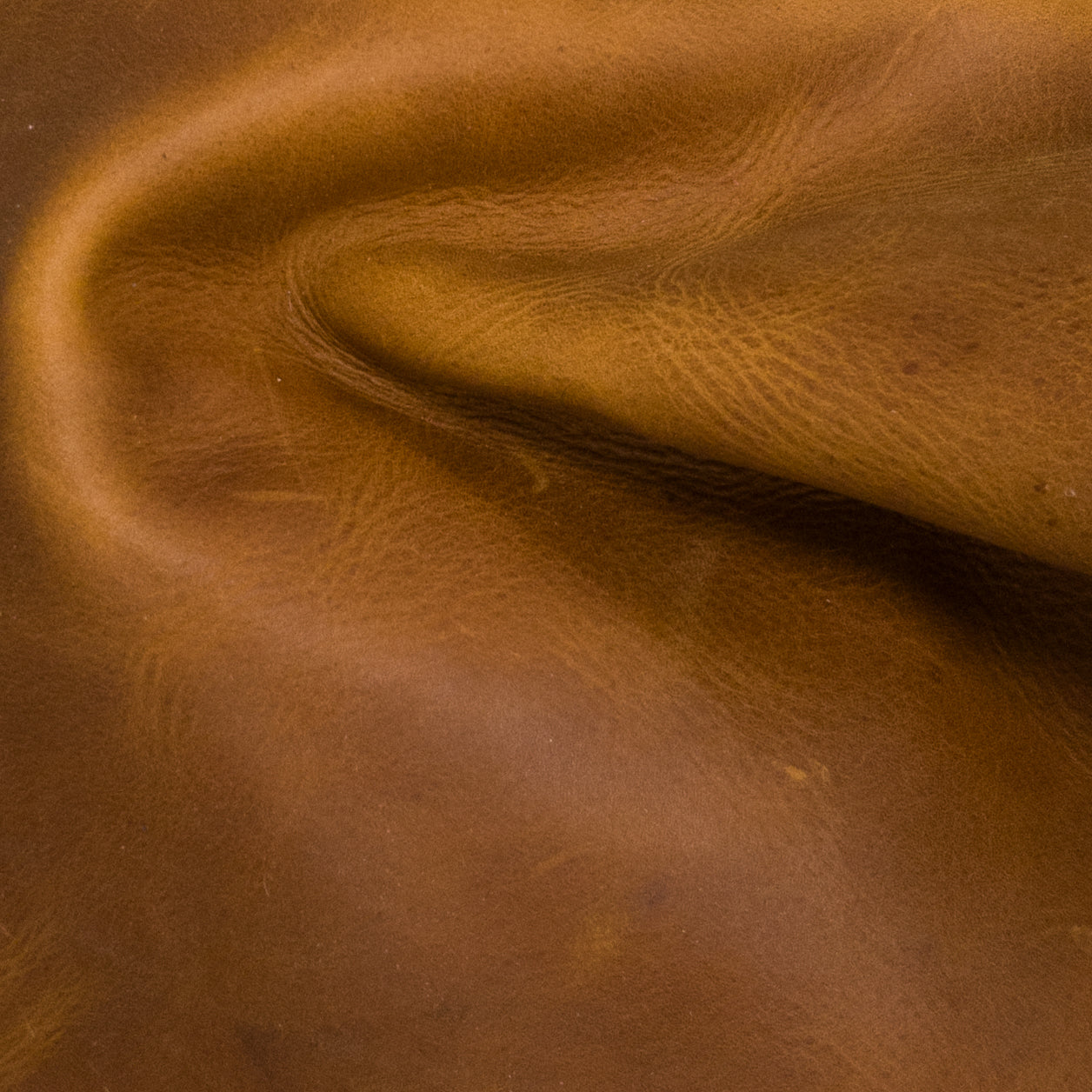 Cowhide Chrome Tan Chap Leather Pre-Cuts, 5-6oz, Medium Acorn, | The Leather Guy
