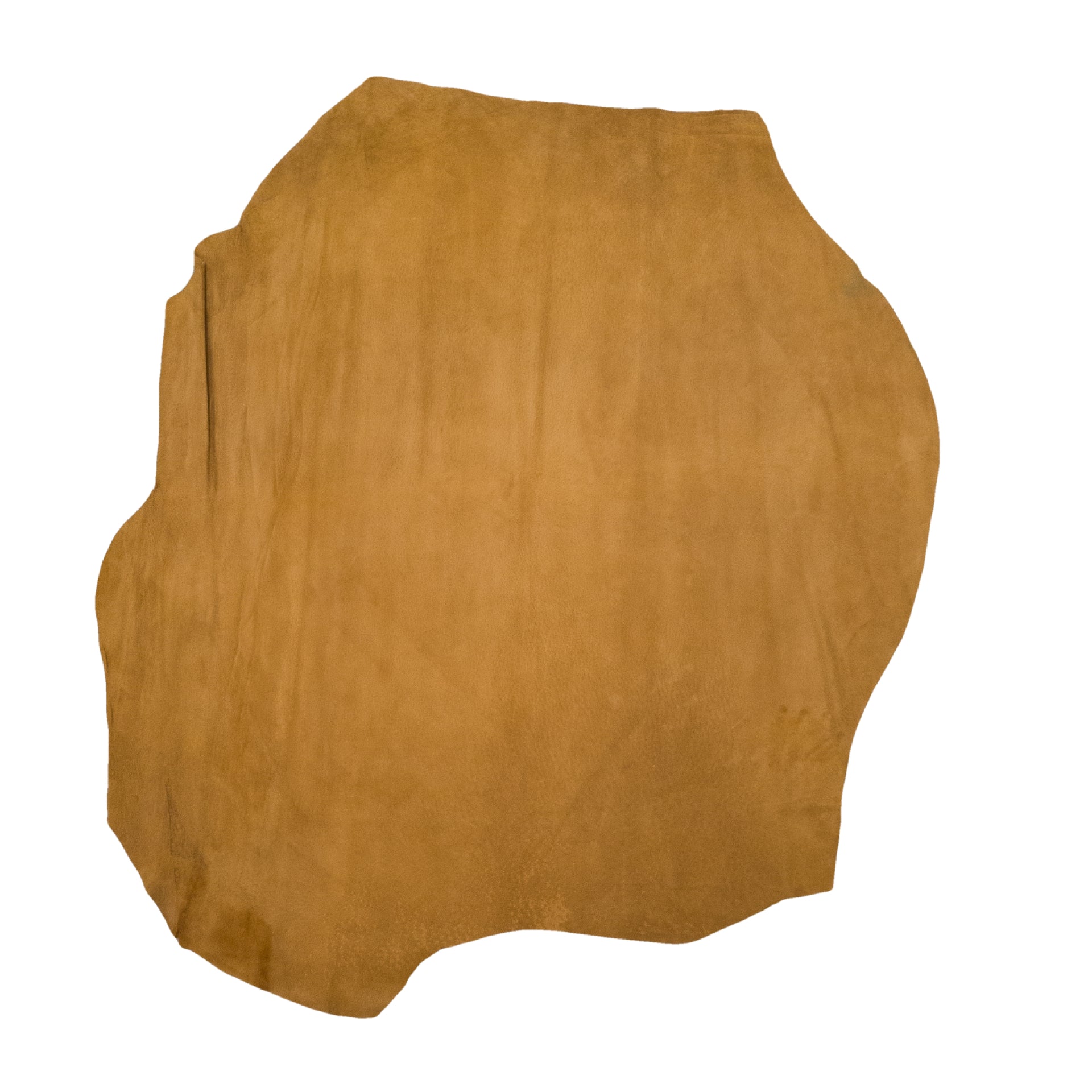 Genuine Boar Leather Hides, New Colors Non-Stock, 3-4 oz, Project Pieces, Saddle Tan / 3-4 Sq Ft | The Leather Guy