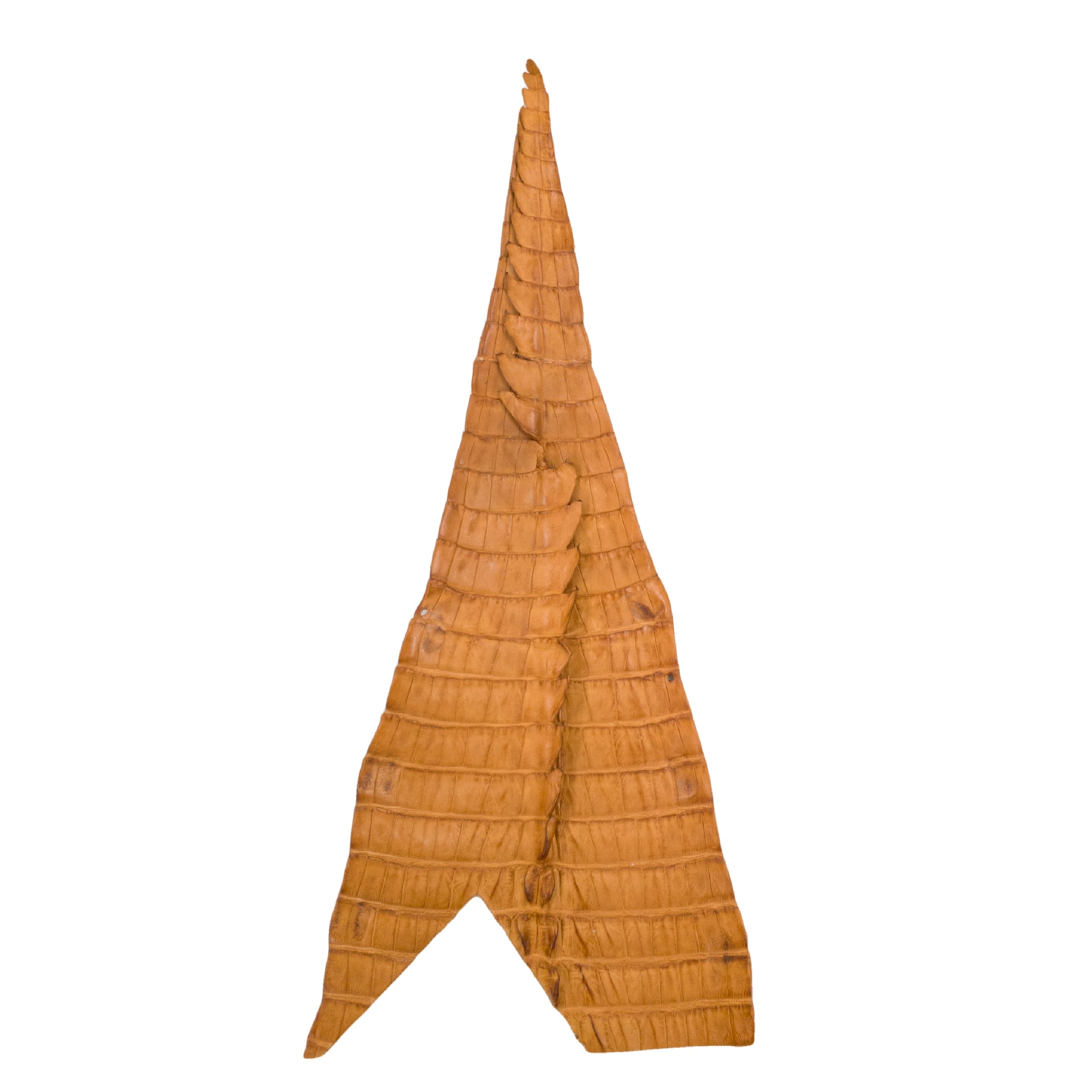 Partial Caiman Tails Various Colors Genuine Hide, Saddle | The Leather Guy