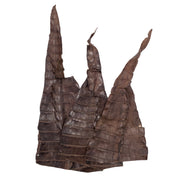 Partial Caiman Tails Various Colors Genuine Hide, Low Grade Chocolate | The Leather Guy