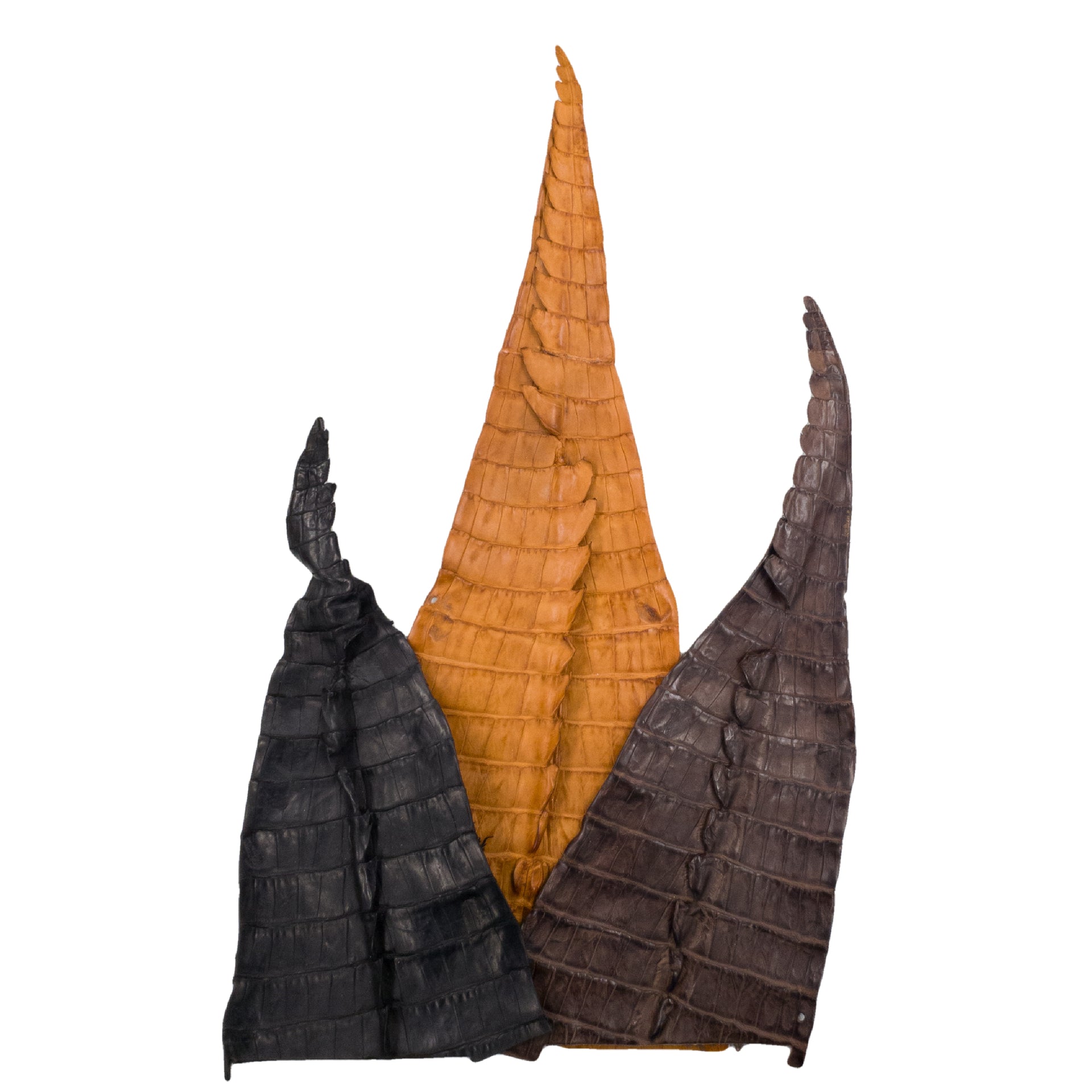 Partial Caiman Tails Various Colors Genuine Hide, | The Leather Guy