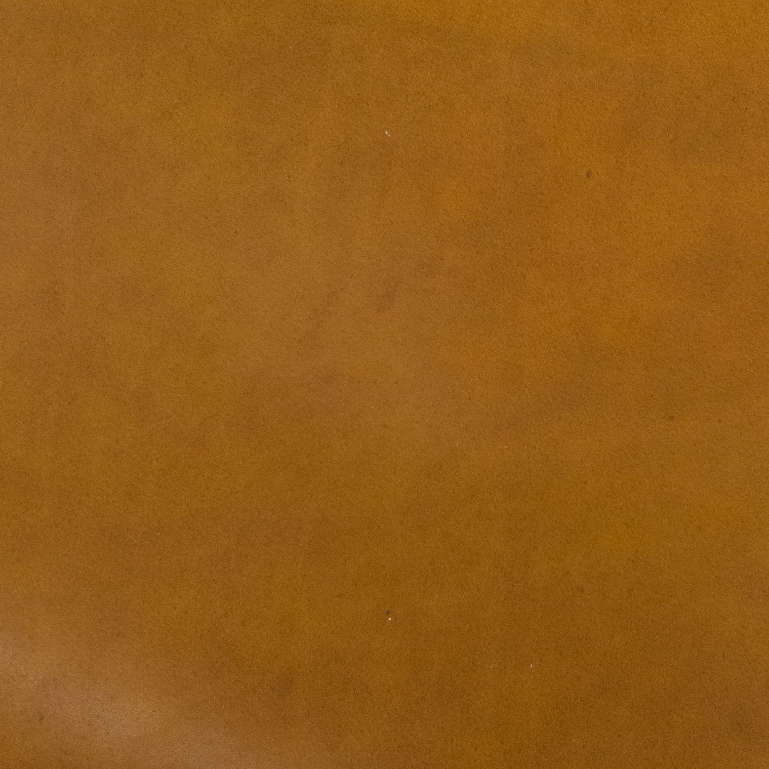 Low Grade Burnt Orange, Non-stock, 4-5oz, Oil Tanned Hides, | The Leather Guy